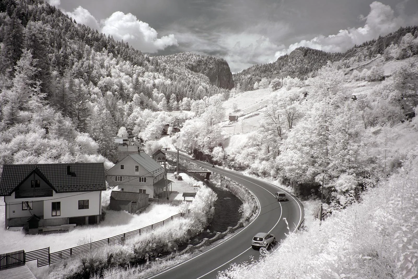 Professional_Infrared_Camera_Conversion_Services (3).jpg