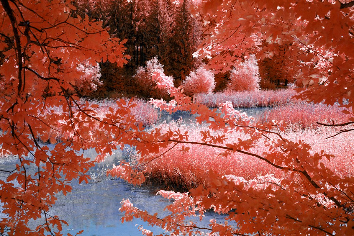 Fujifilm X-T200 fullspectrum infared converted digital camera (1).jpg