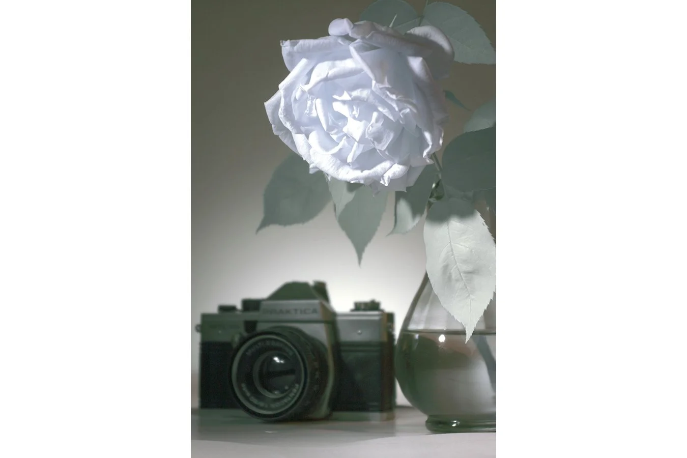 Professional_Infrared_Camera_Conversion_Services (3).jpg