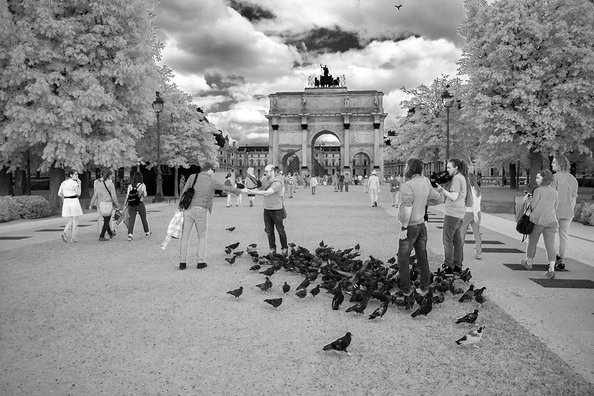 infrared-IR720nm-photography-example (3).jpg