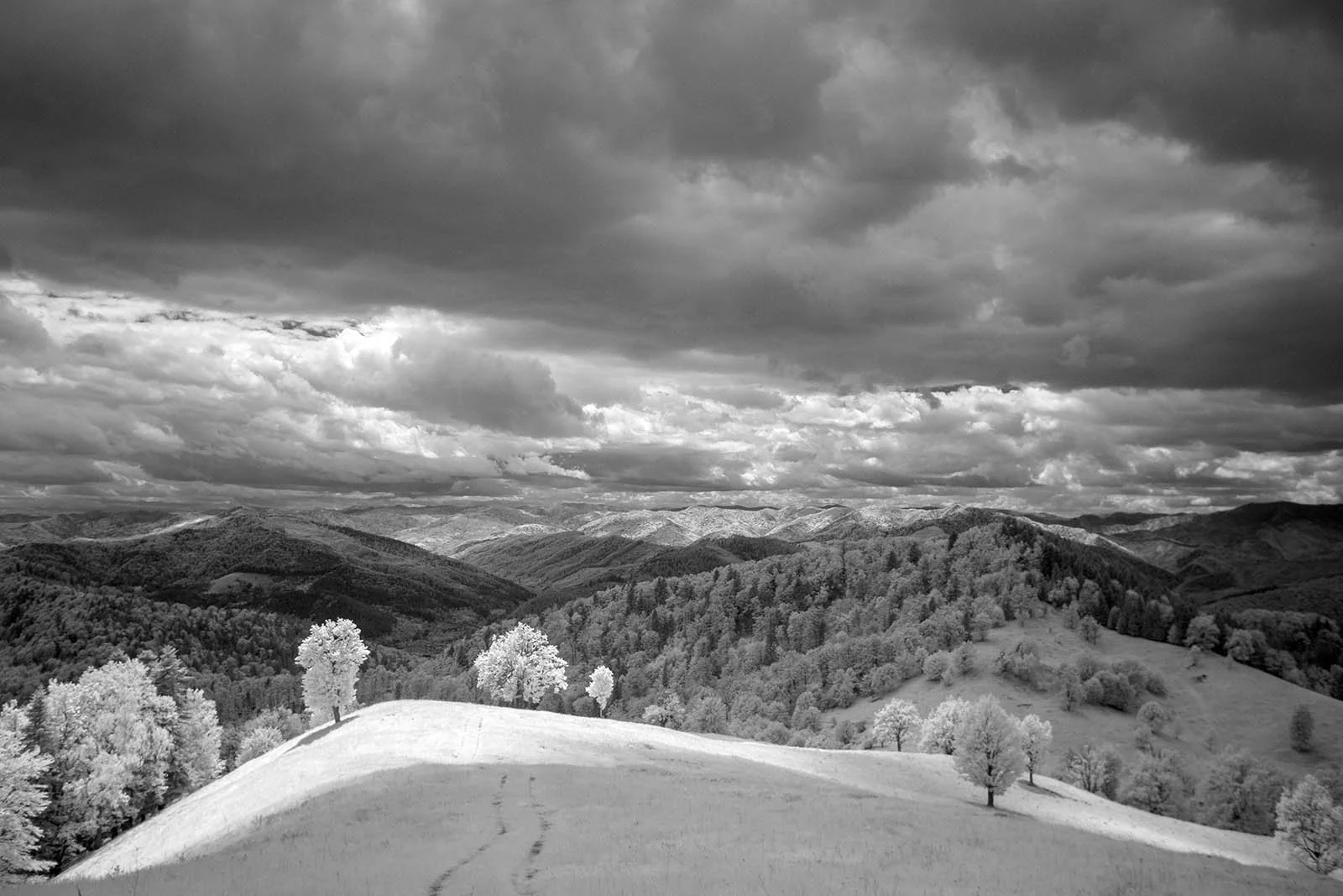 Infrared-720nm-converted-camera-example (6).jpg