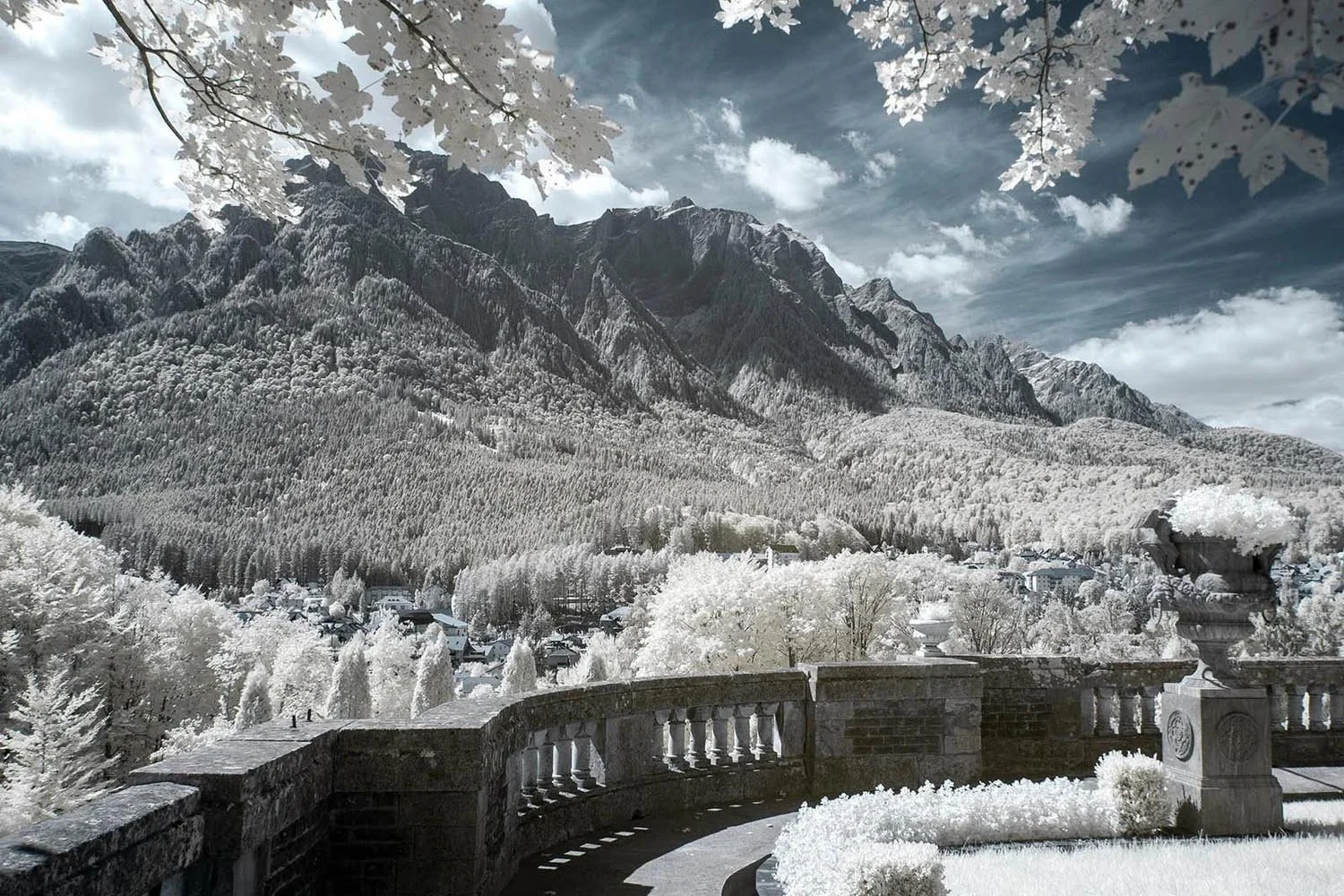 Professional_Infrared_Camera_Conversion_Services (13).jpg