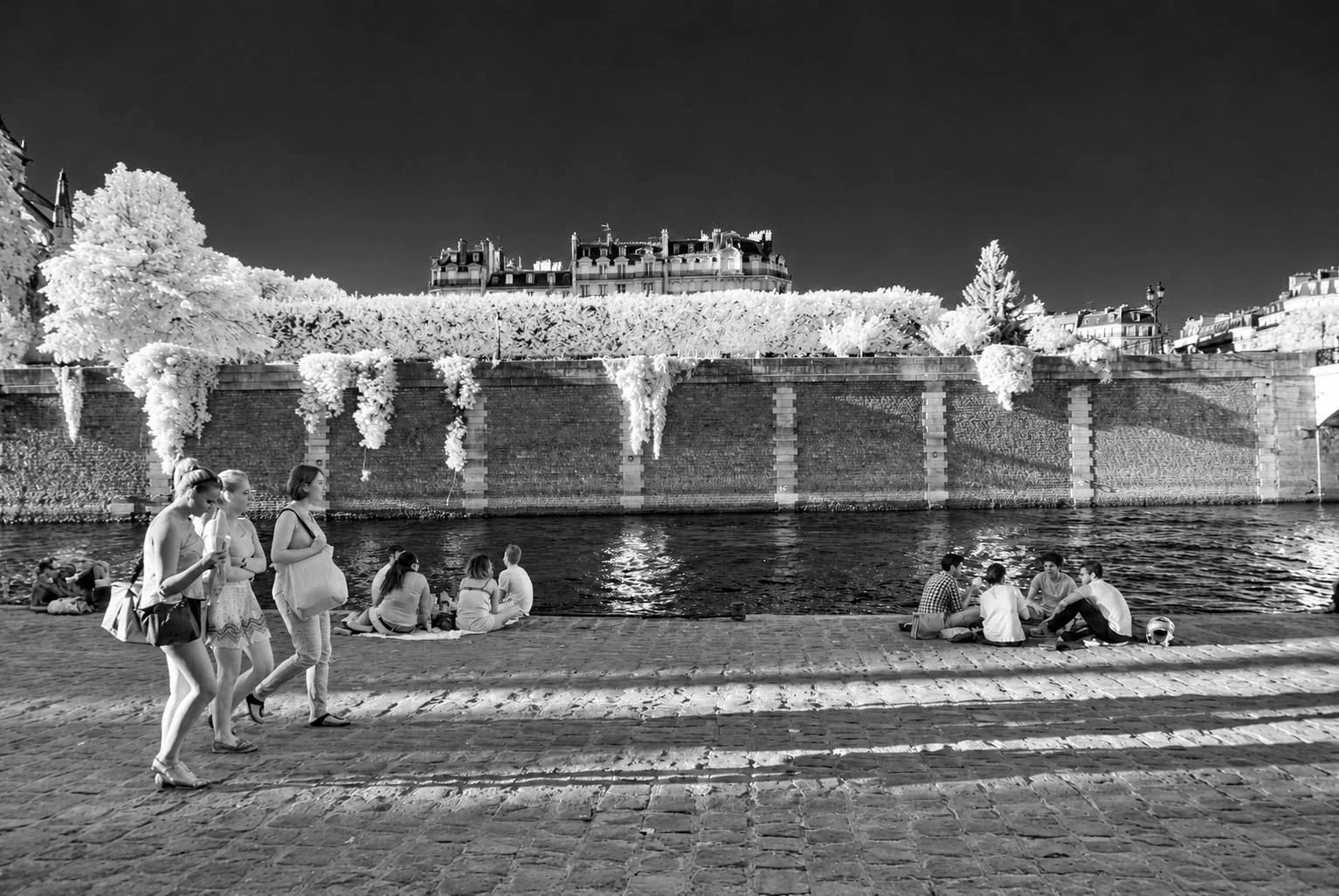 Infrared_Paris_France_landscape IR720nm_photography.jpg