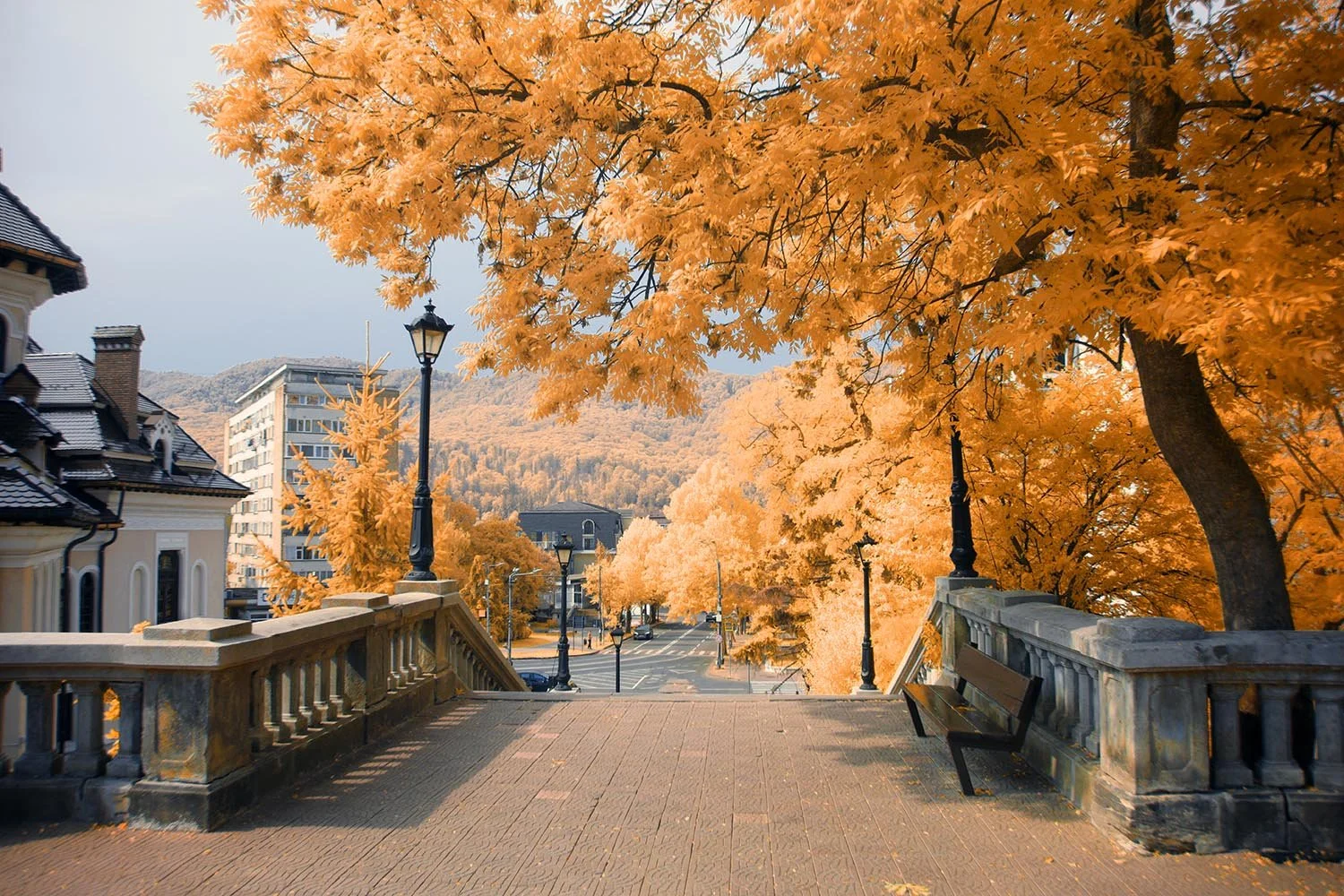 Professional_Infrared_Camera_Conversion_Services (7).jpg