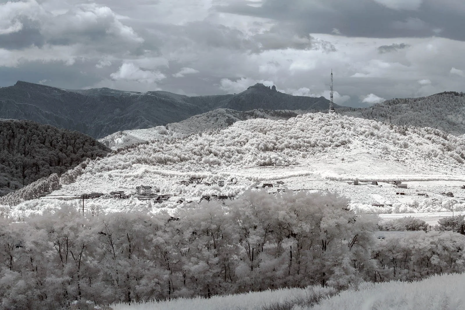 Professional_Infrared_Camera_Conversion_Services (4).jpg