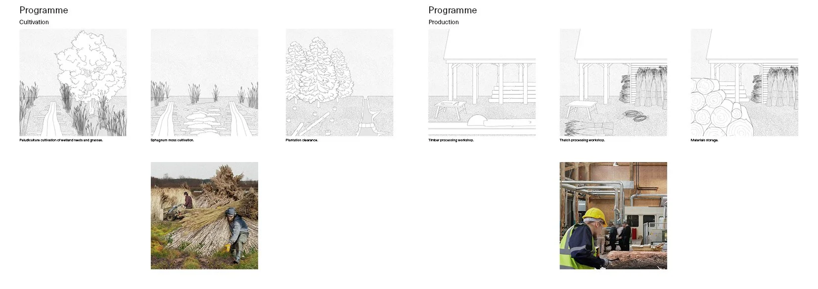 Presentation_Examination12.jpg