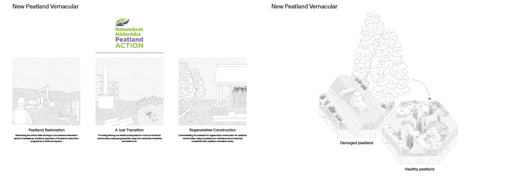 Presentation_Examination5.jpg