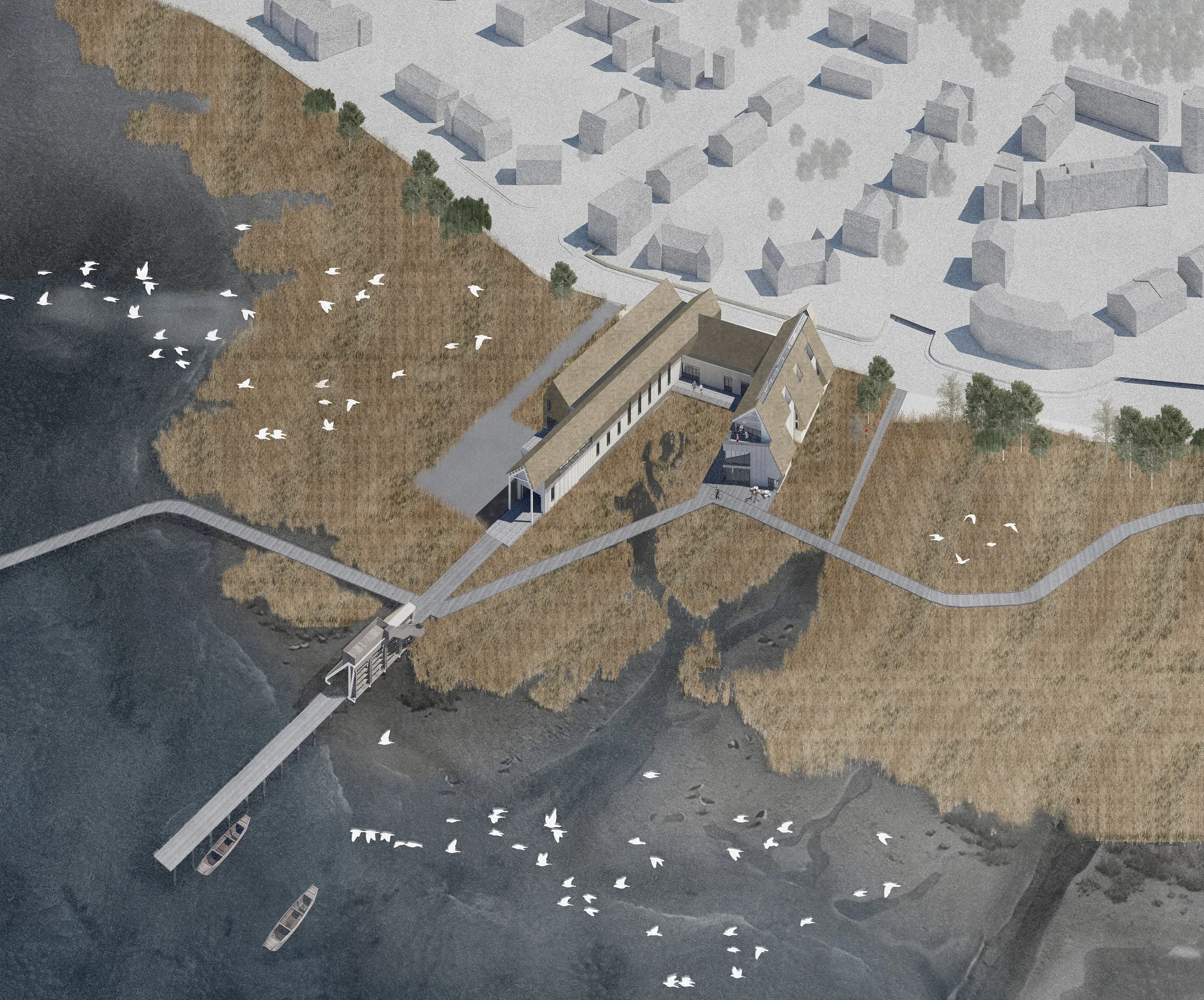 Ariel view - low tide low.jpg