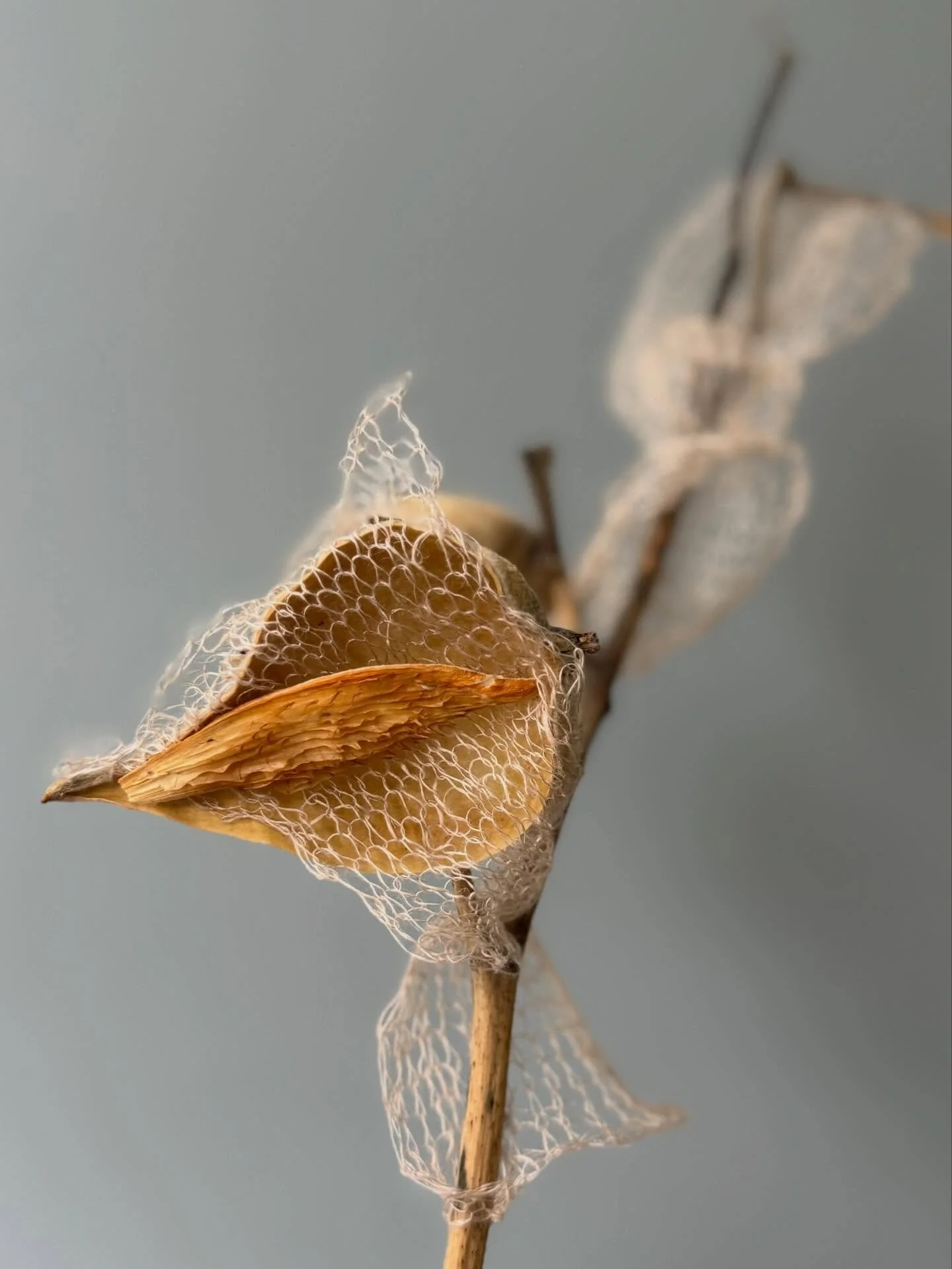 Happy New Year&rsquo;s Eve to everyone! We&rsquo;ll all say goodbye to 2025 with our own rituals and habits, and hopefully greet the new year tomorrow with gratitude and some joy. I wish health, happiness, and inspiration to all of us in 2026. I&rsqu