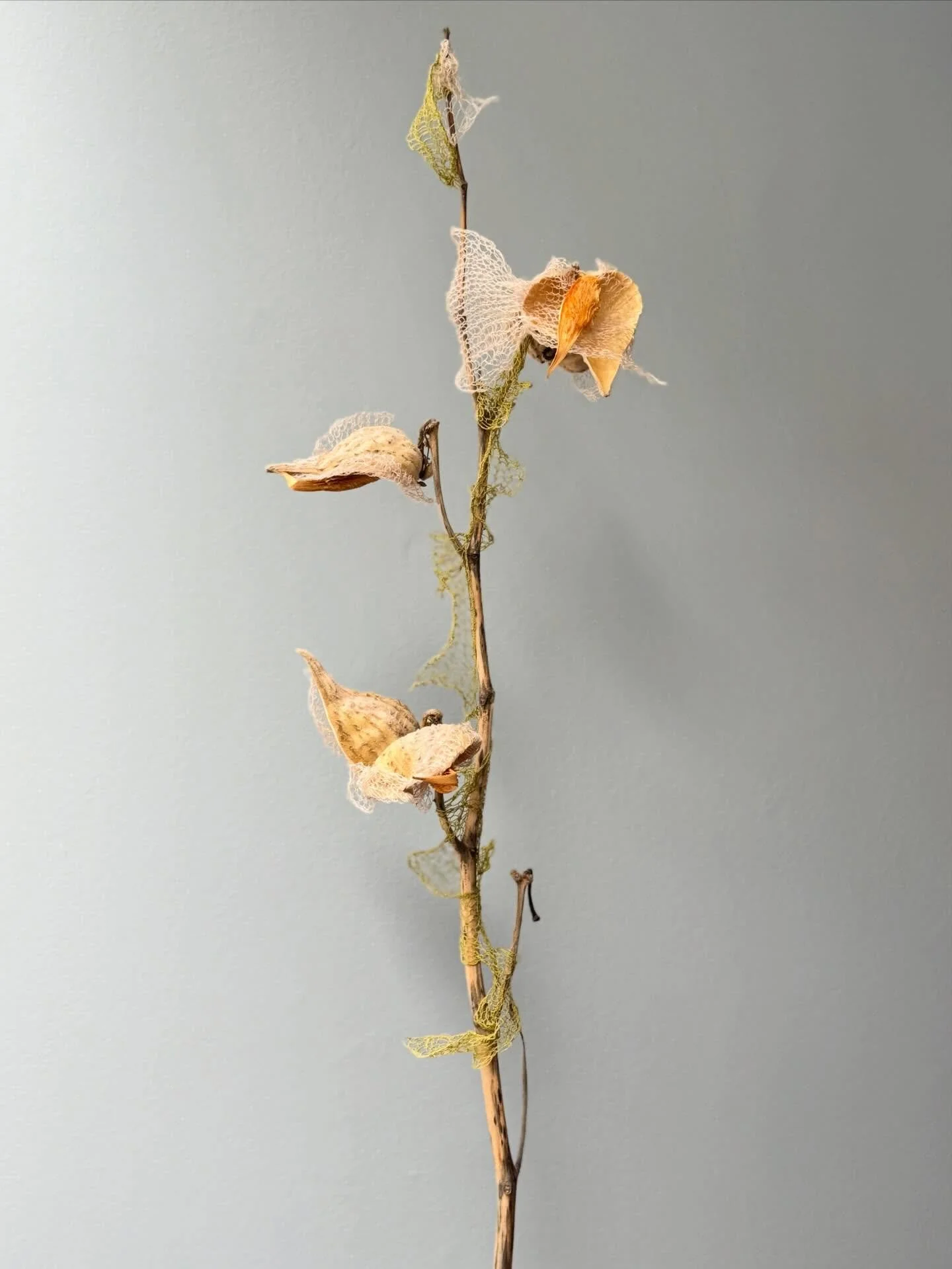 Fittingly, maybe, &lsquo;perennial&rsquo; is my first piece of 2026. At a time of year when we&rsquo;re all concerned with change and new beginnings, I&rsquo;m also grateful for things that don&rsquo;t change: those people, places, and places I rely 