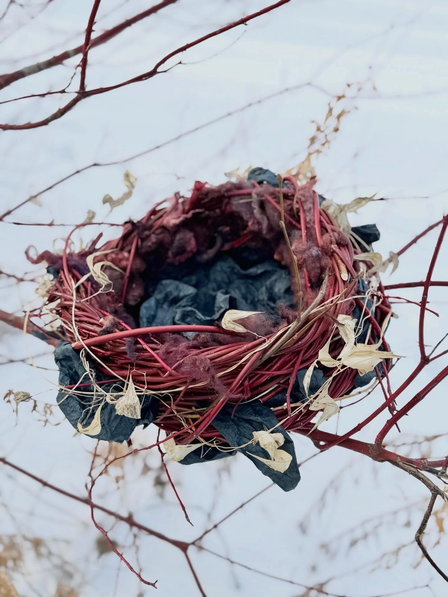 &lsquo;Water Nest&rsquo;

Imagining that water might need a comforting place to rest from all of its astonishing activities, I made a dogwood nest for it. Water is home, a refuge, a necessary part of life, and a part of us. 

@interwoven.artist.resid
