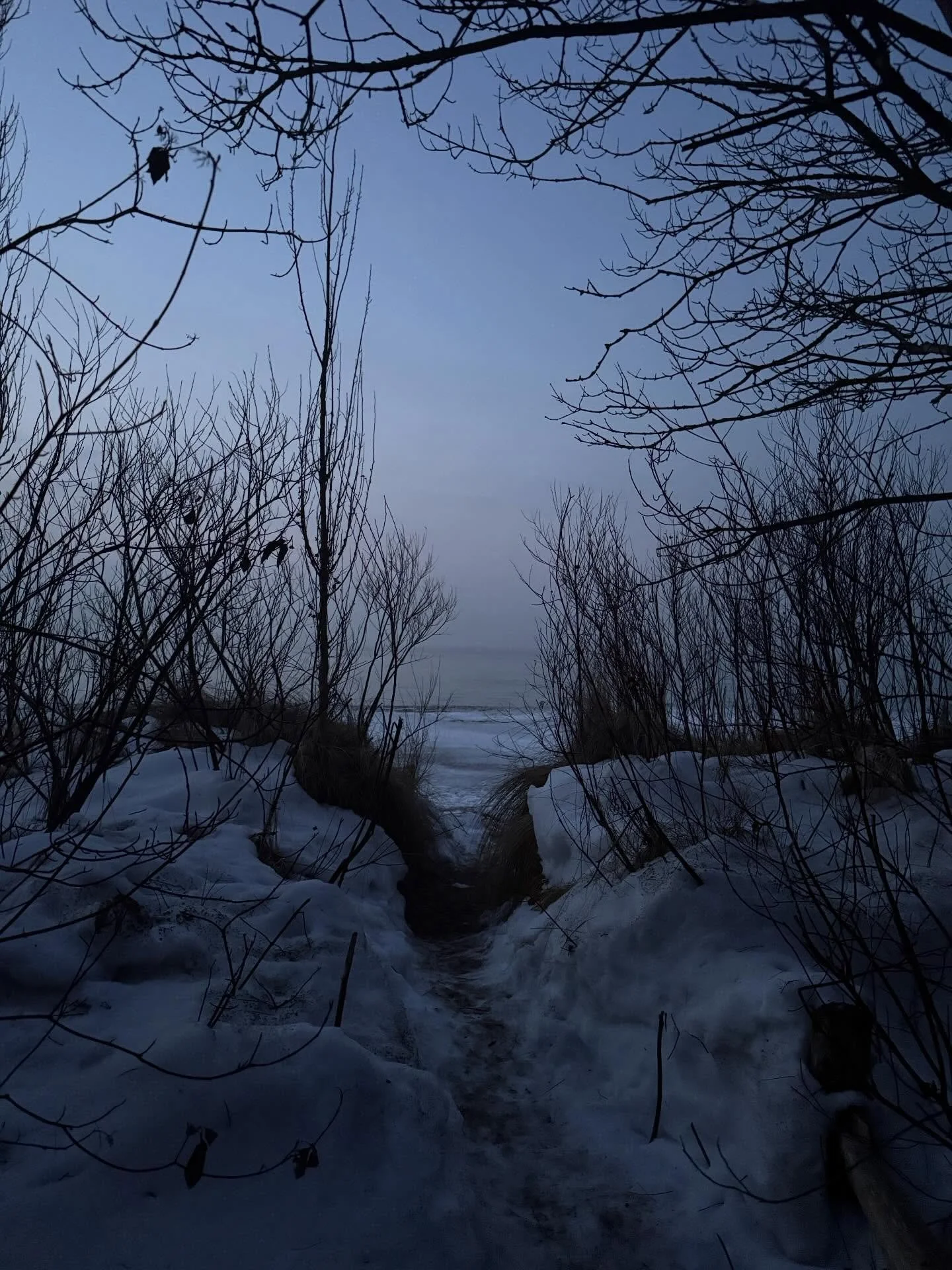 Tough to say goodbye after 8 days of blissful creating, learning, connecting, and feeling all kinds of things. I&rsquo;m very grateful for this time crafted by @interwoven.artist.residency at @gibraltarpointto. What a wonderful group of inspiring art