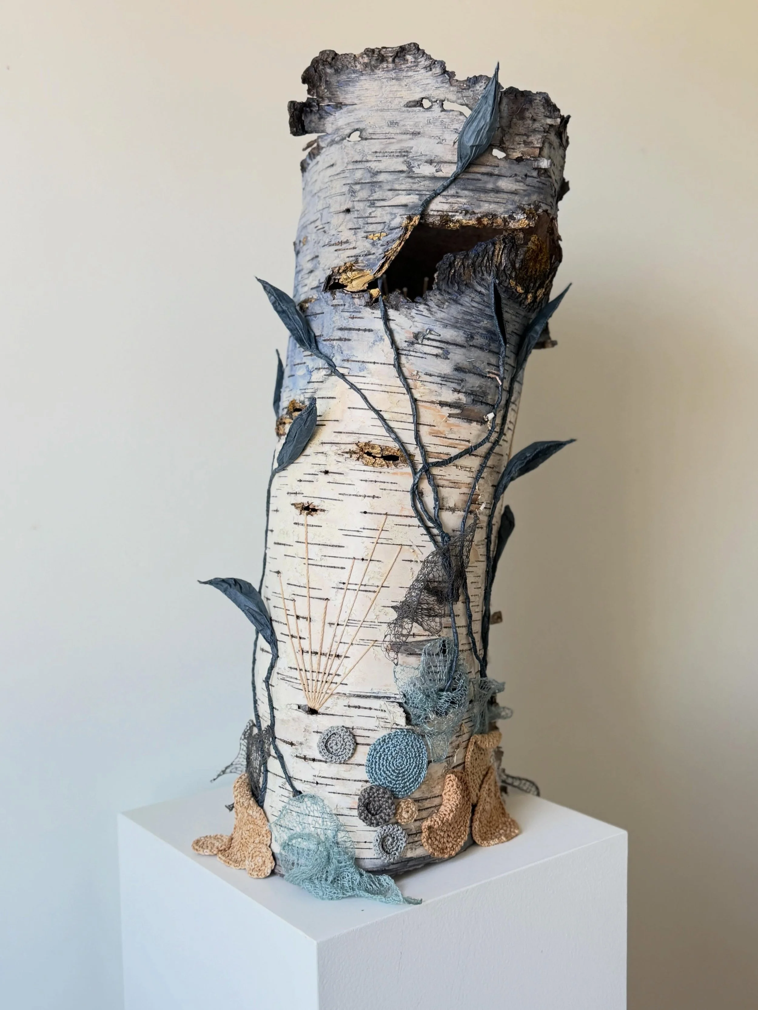 SURGE is a quiet, joyful eruption of growth from decay. Plants and fungi surge into life and towards the sun, the air, the life they are beginning. The vitality and delicacy of this organic community seems to join together in song. The relentless, de