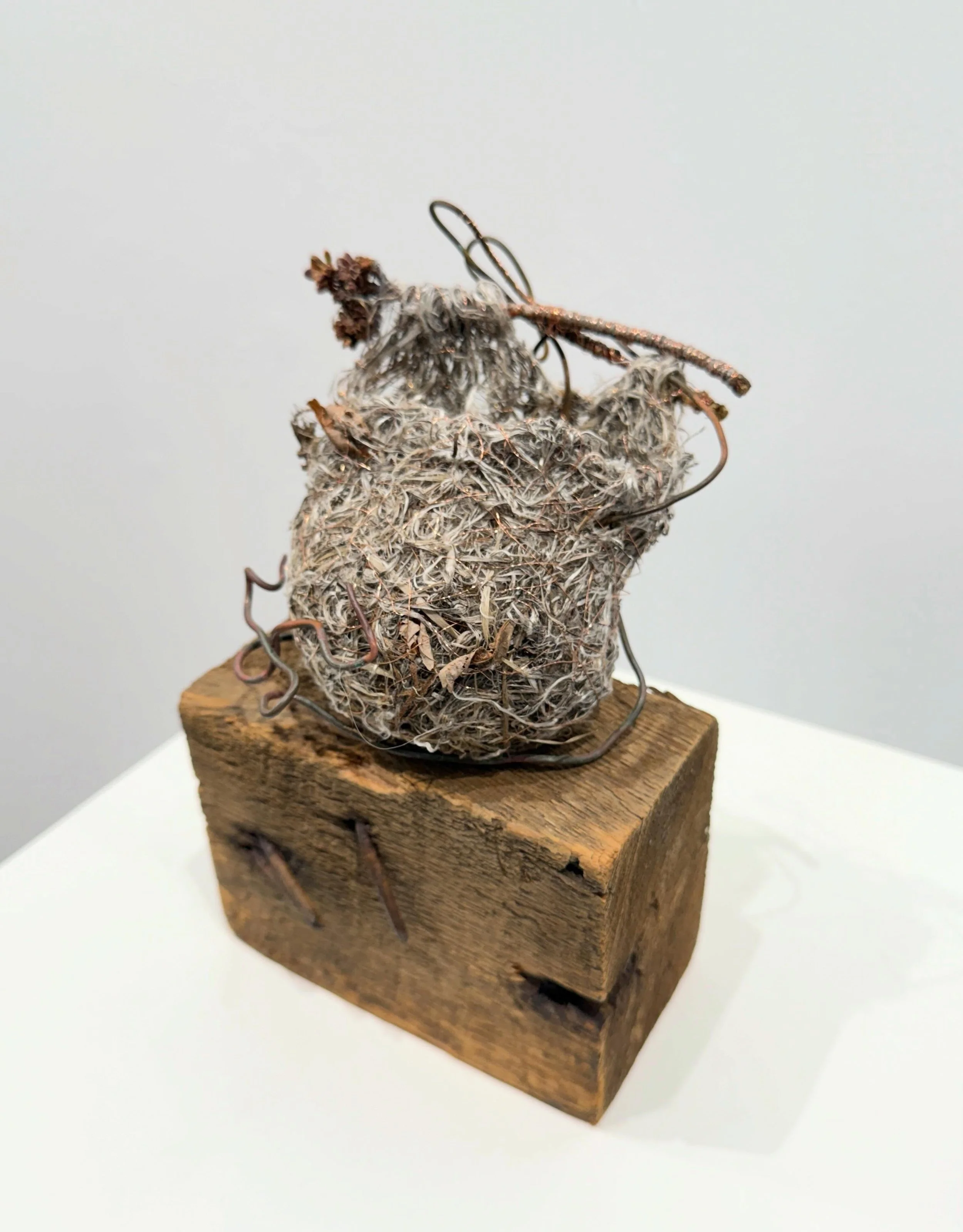Don&rsquo;t Touch Me (noli me tangere)

This piece is a haven, and a warning. It began with a found bird&rsquo;s nest that had dislodged and ended up on a sidewalk. I used copper wire to weave into the nest, echoing the practice of the bird, creating