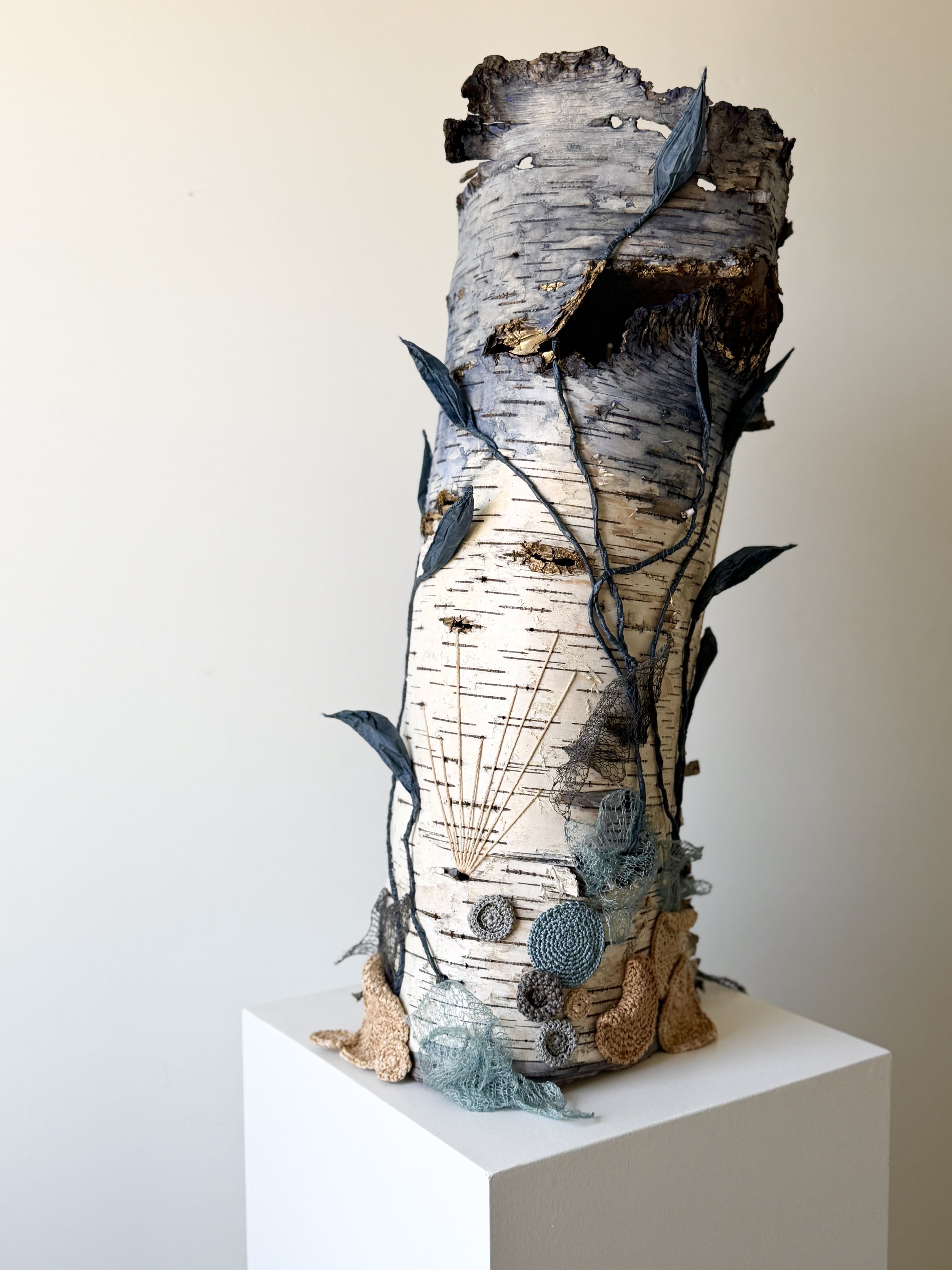 surge: constel/lichen 40