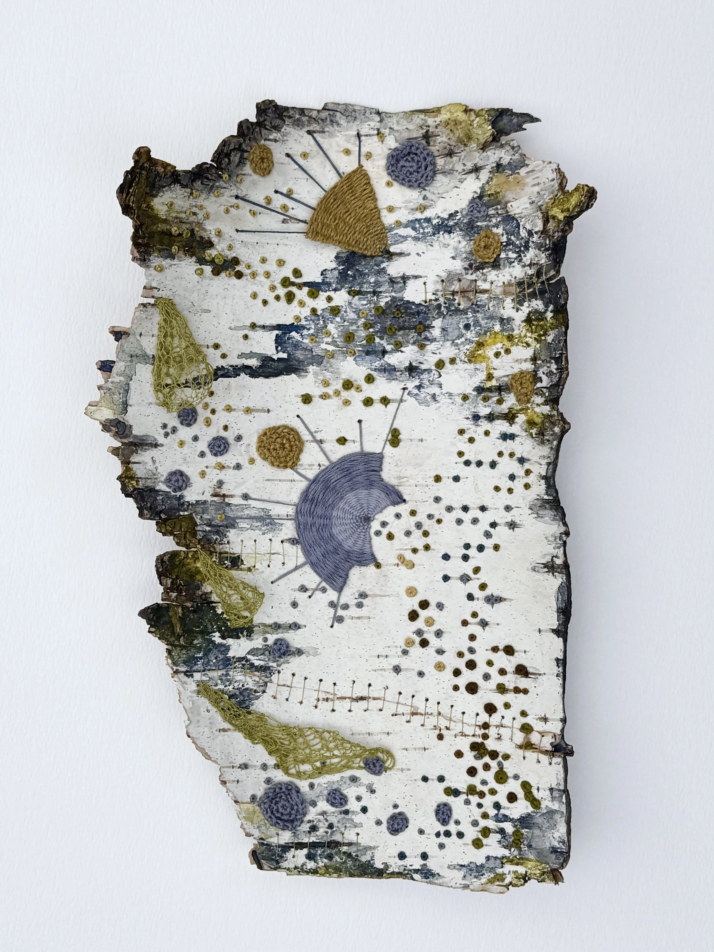 stitch: constel/lichen 36