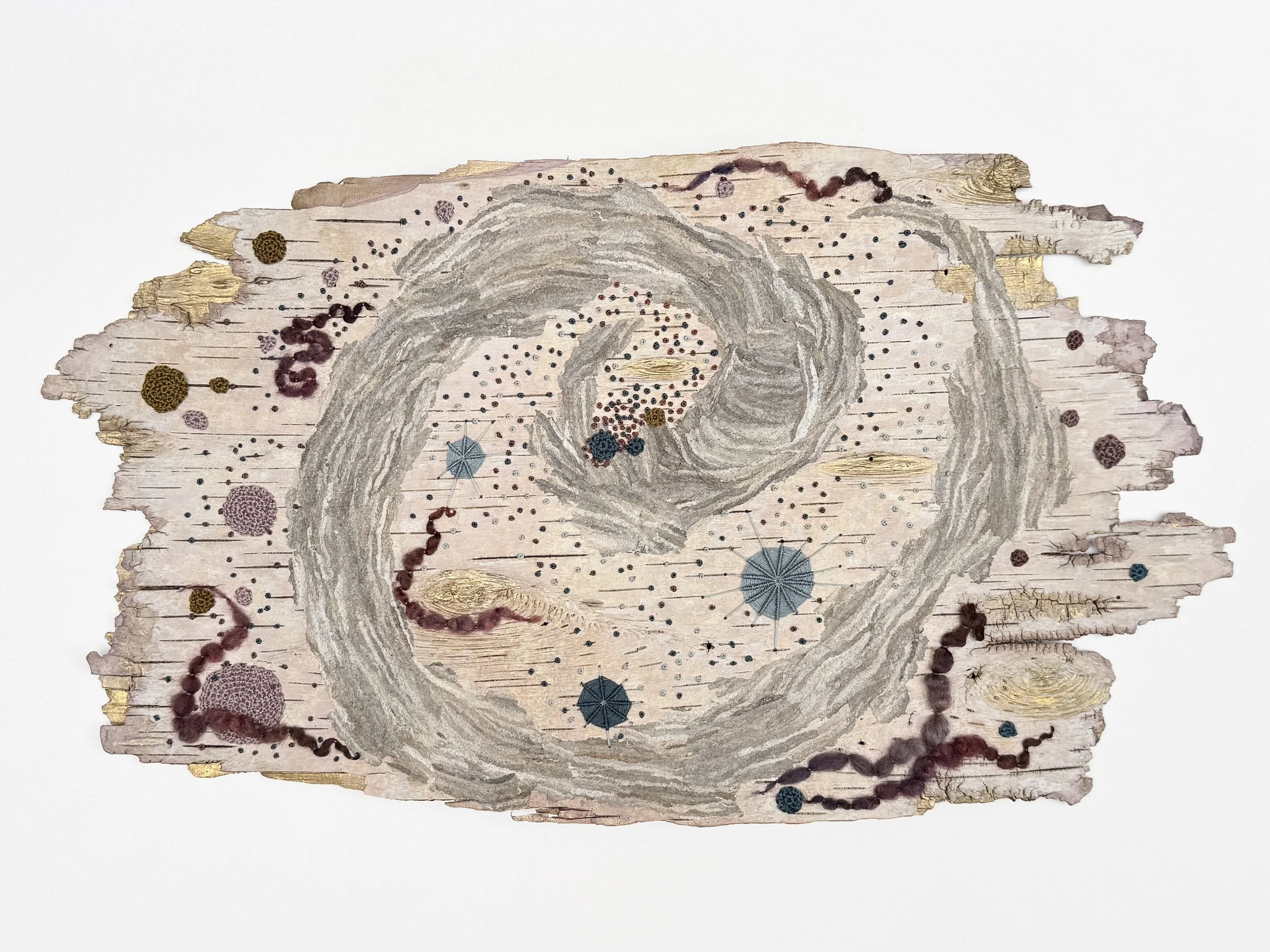 birth/rebirth: constel/lichen 35