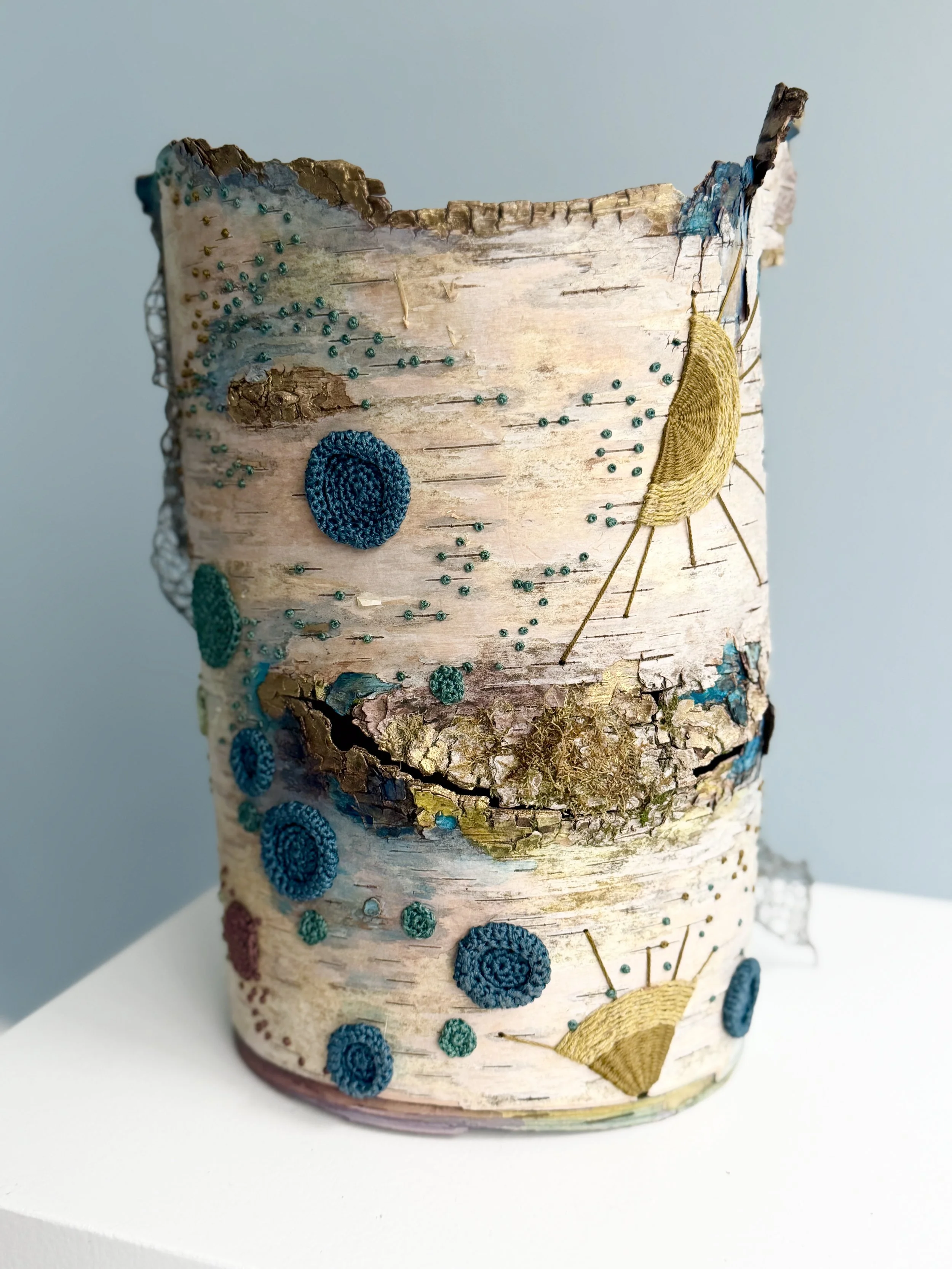 evolve: constel/lichen 38