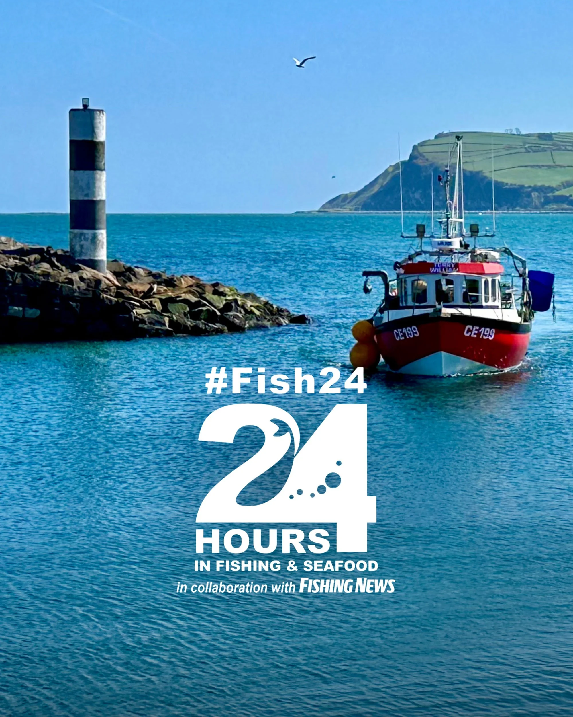 #Fish24 Campaign to return this May