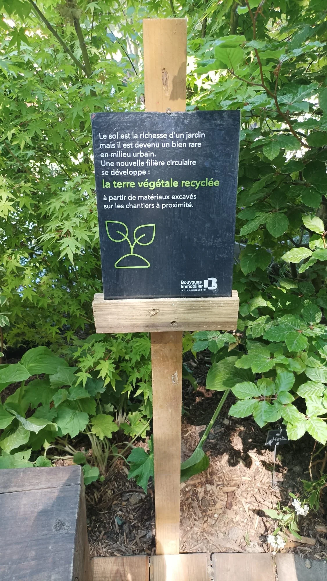 WhatsApp Image 2023-05-31 at 15.22.27.jpeg