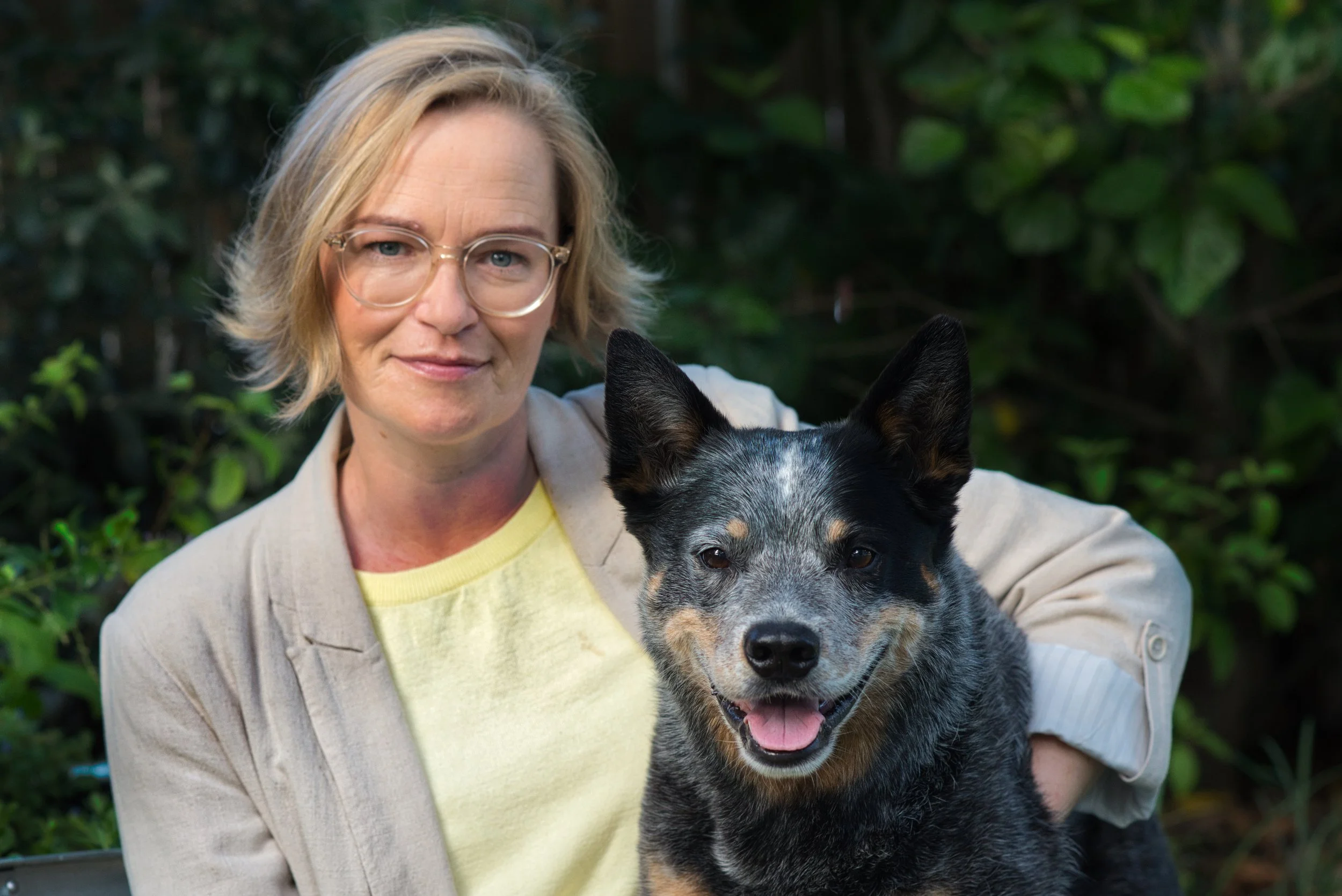 WHAT IS A PET CUSTODY MEDIATOR AND DO I NEED ONE?
