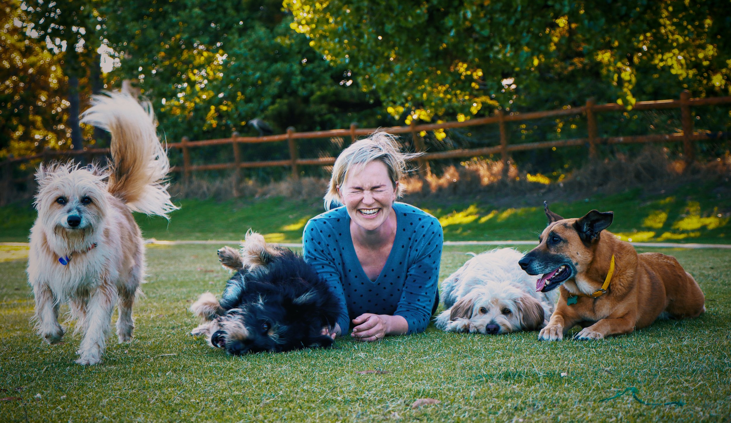 Karis Nafte lying on grass with four dogs, smiling and playing outdoors with trees and a wooden fence in the background.