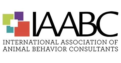 iaabc.jpg
