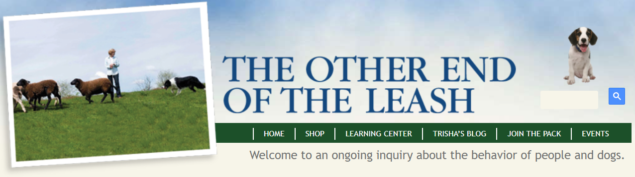 other end of the lead.png