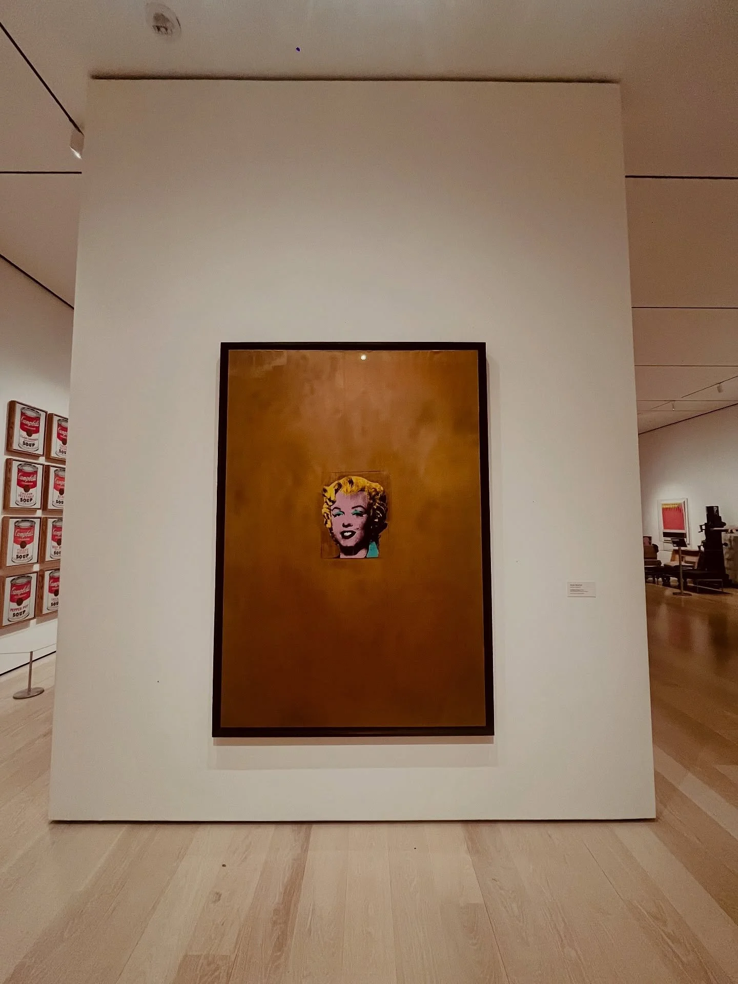 Andy Warhol, Henri Matisse, Archibald John
Motley Jr. &amp; others at MOMA

@themuseumofmodernart 
@mako.culture
@warholfoundation

#moma #nyc #artculture #warhol #motley