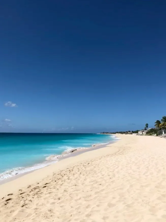 Few days at La Samanna Belmond.
Baie Longue, le temps suspendu.

@mako.culture 
@belmond_lasamanna 
@belmond 
@francoiscastelain 

#sxm #stmartin #belmond #artdevivre