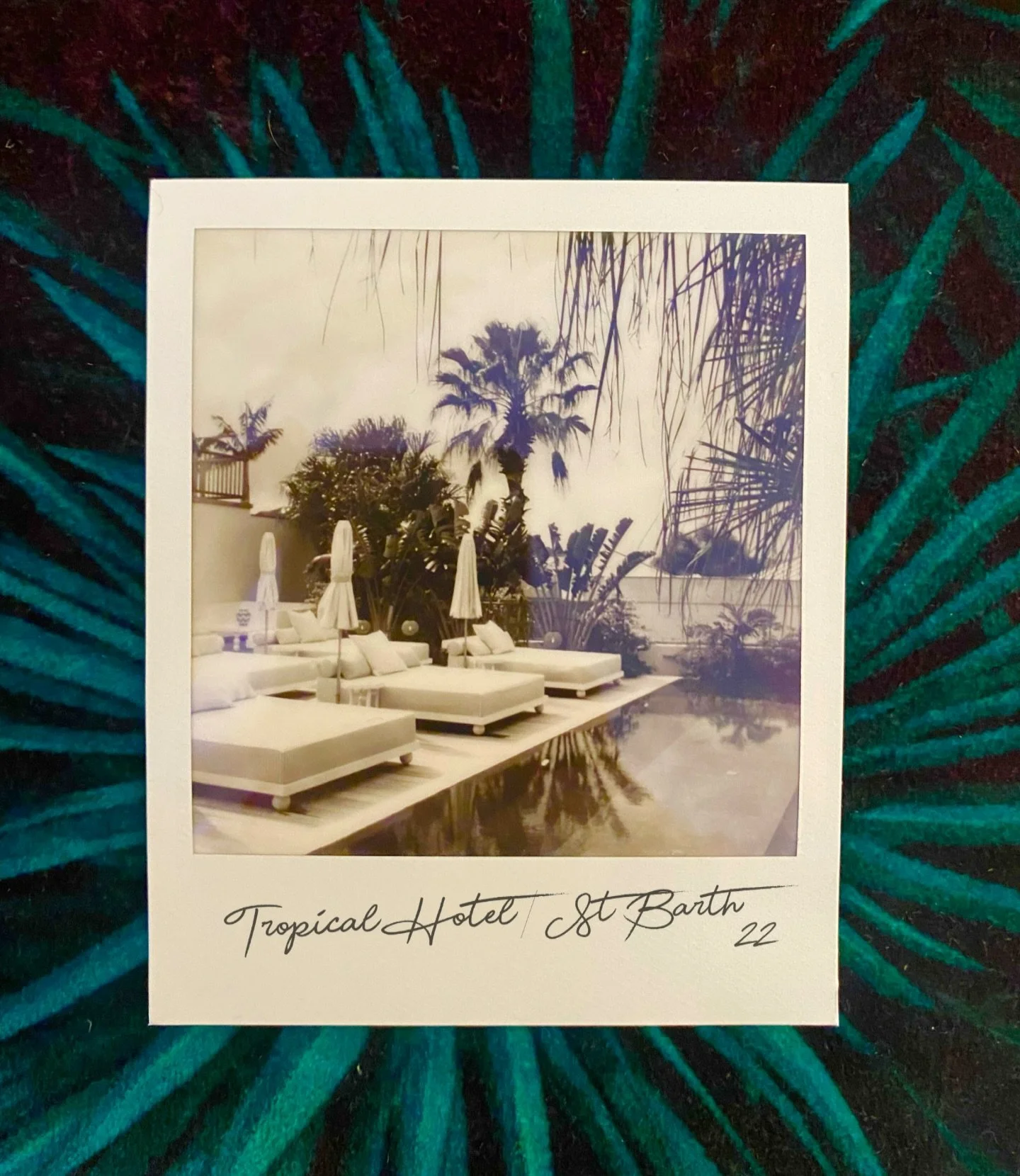 Pola Tropical Hotel 
St Barth .22

@tropicalhotelstbarth 
@francoiscastelain 
@369degreshotels 
@mako.culture 

#stbarth #tropicalhotel #thepool