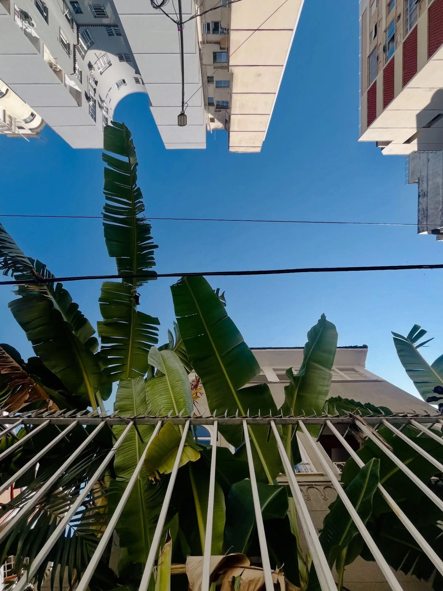 Random Rio De Jeinero 

@mako.culture 
@francoiscastelain 

#rio #brasil #MAKOVoyage