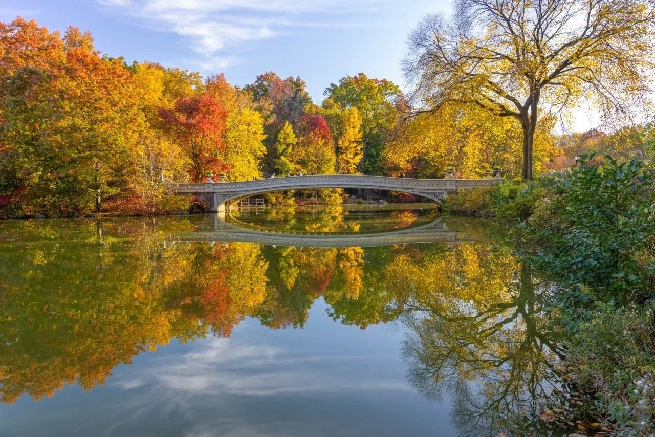 Central Park Seasonal Guides