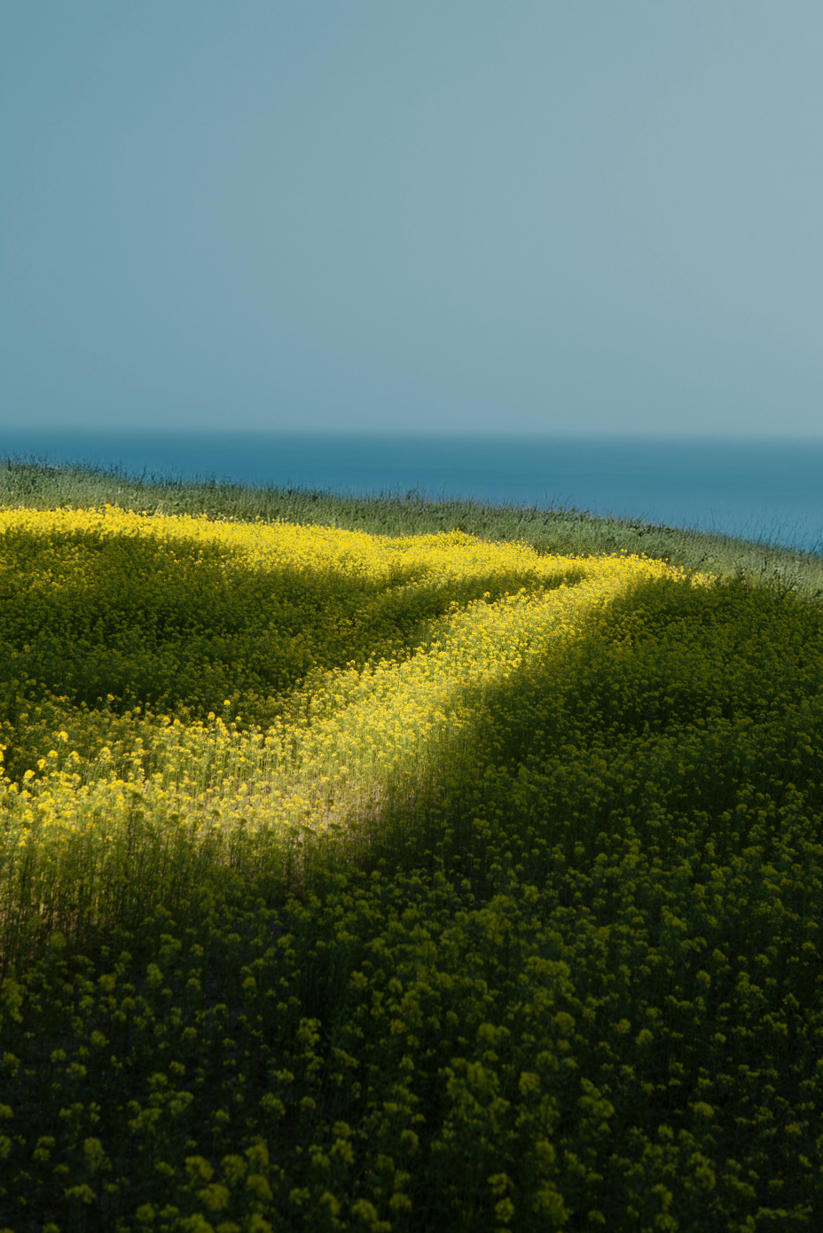 Screenshot 2026-02-26 at 12.25.53.png