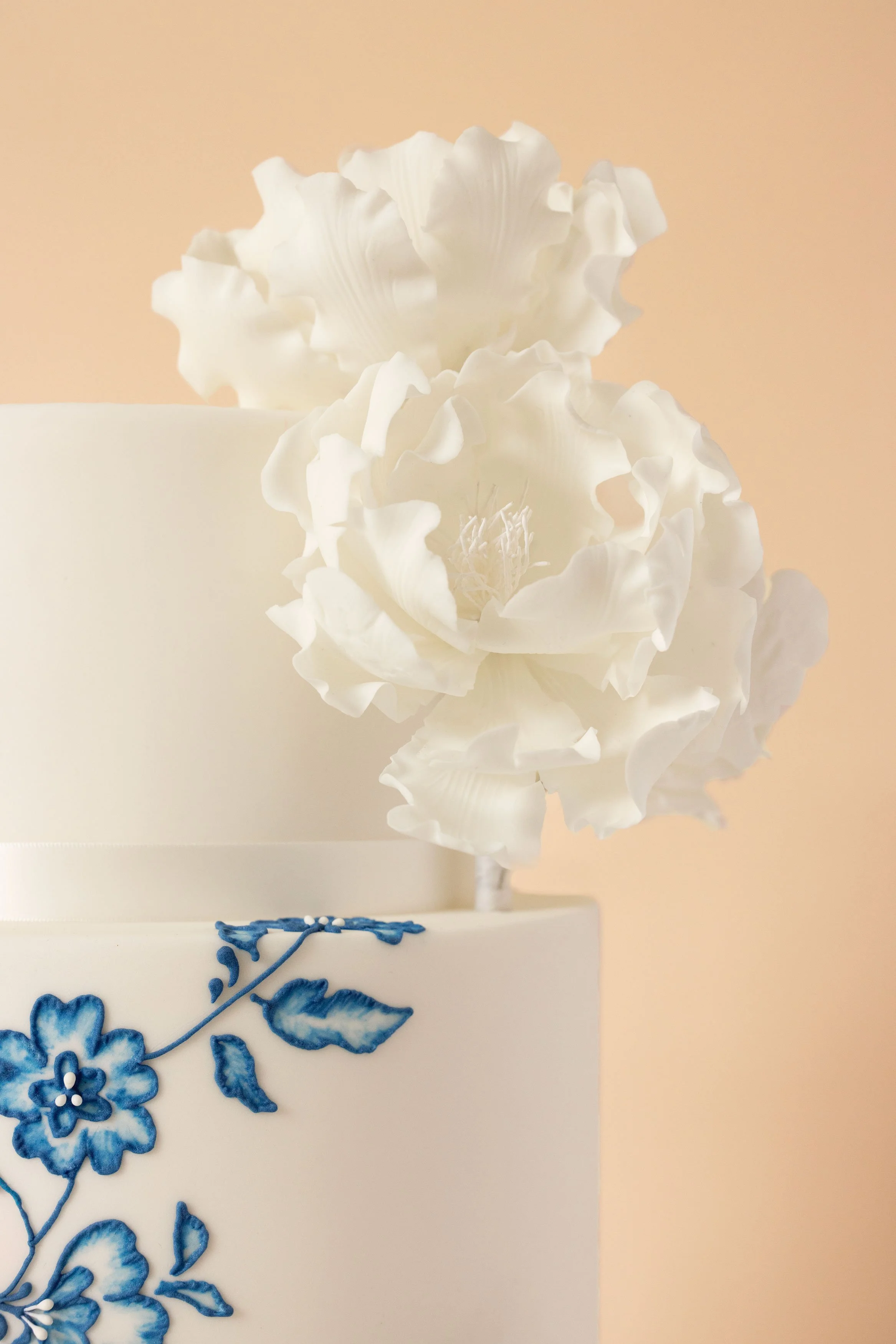 MGCakeDesign_AnoukvanKalmthout_2_Lowres.jpg