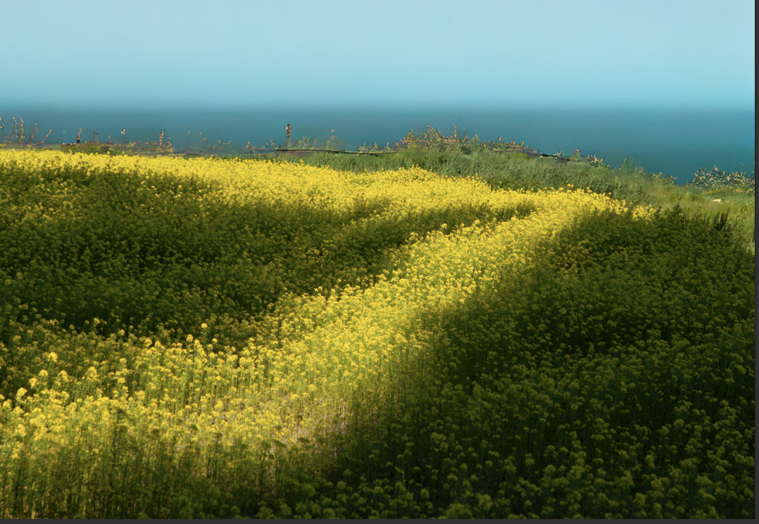 Screenshot 2026-01-29 at 16.17.06.png