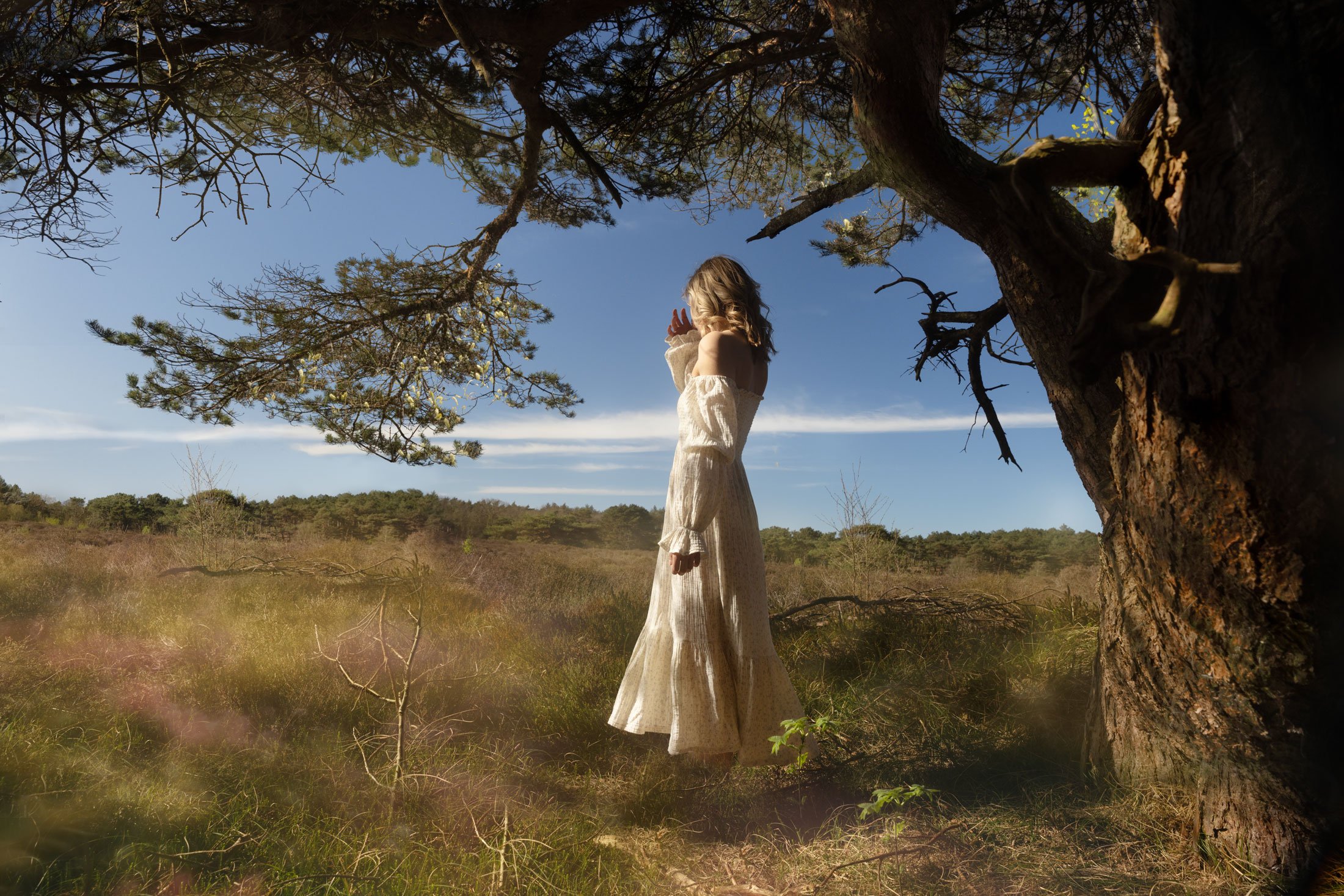 A New Life (2025) / 'Therefore, behold, I will allure her,
and bring her into the wilderness,
and speak tenderly to her.

And I will abolish the bow, the sword, and war from the land, and I will make you lie down in safety. And I will betroth you to 