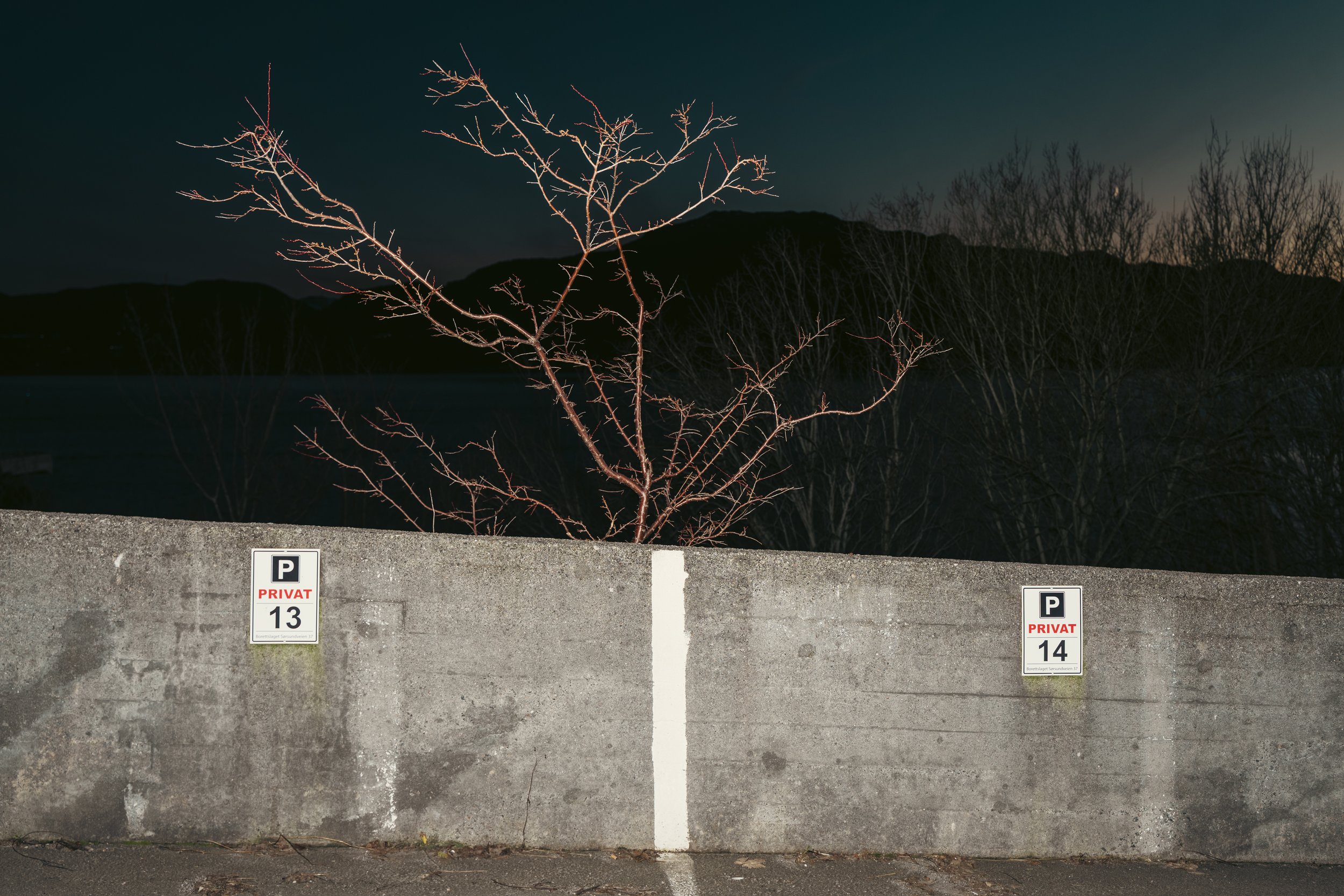 I medvind uansett vær-0135.jpg