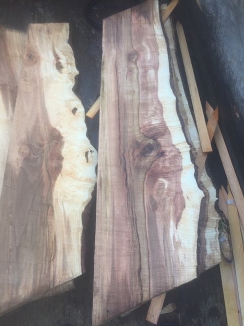 Whole Live Edge Wood Slabs — Wild Oak Regenerative Farm