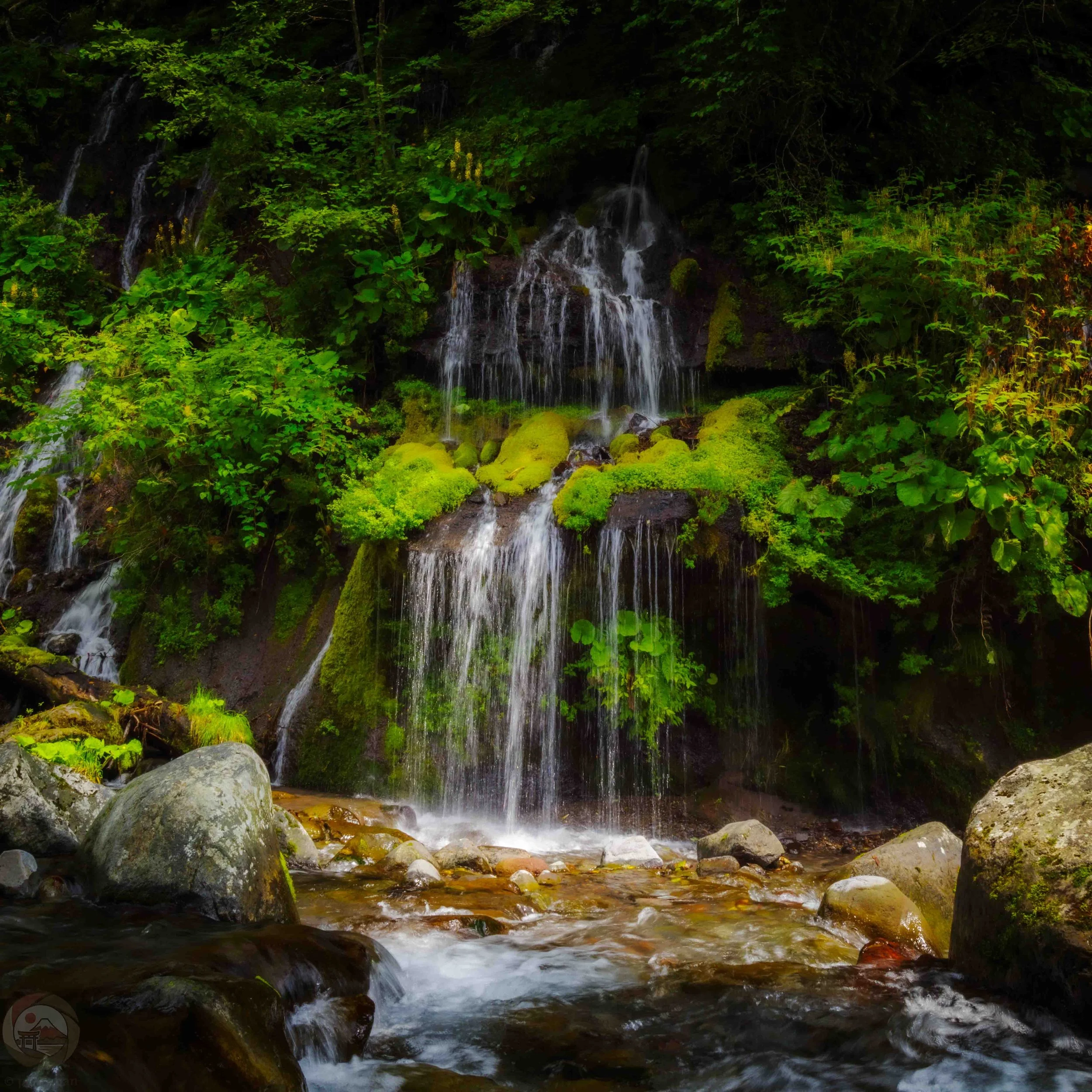 Water flows in thin, silky streams over moss-covered rocks at Doryu Falls along the Kawamata River in the Yatsugatake Highlands of Hokuto, Yamanashi, Japan, where underground spring water emerges from the mountain slopes.