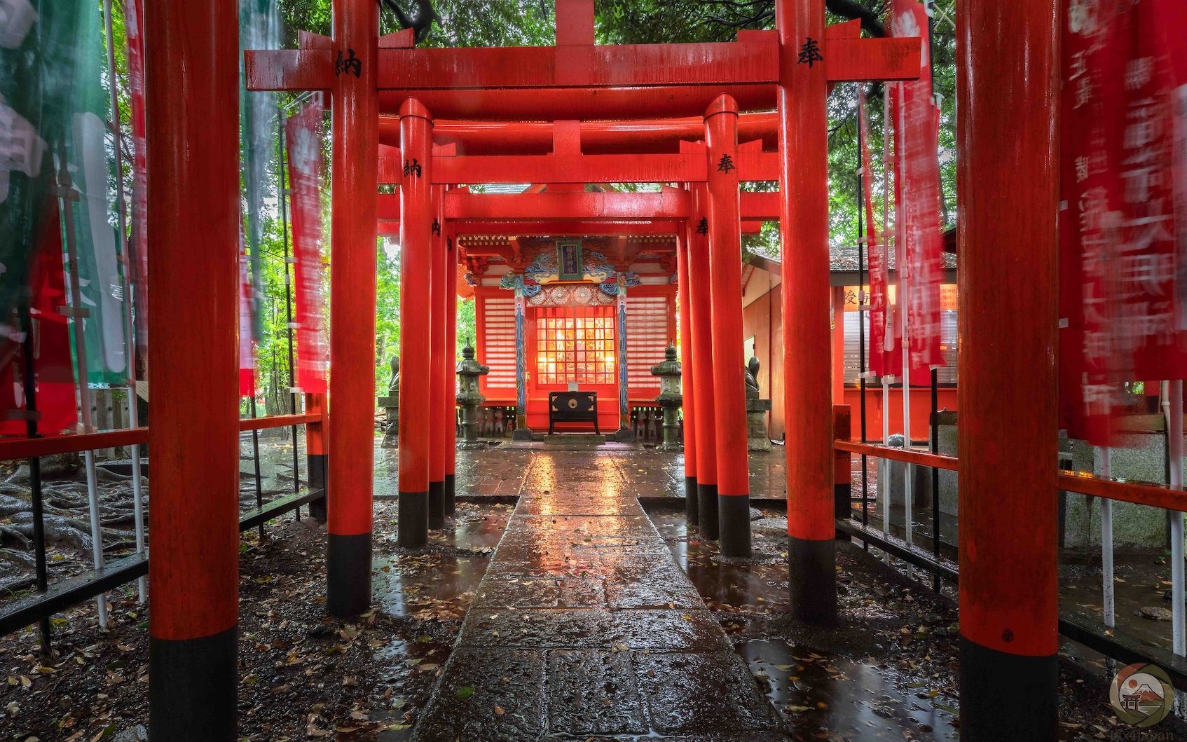 View through several rain-soaked vermilion torii gates toward a brightly lit Inari sub-shrine at Ōsugi-jinja in Ibaraki, Japan, with wet stone paving and reflections.