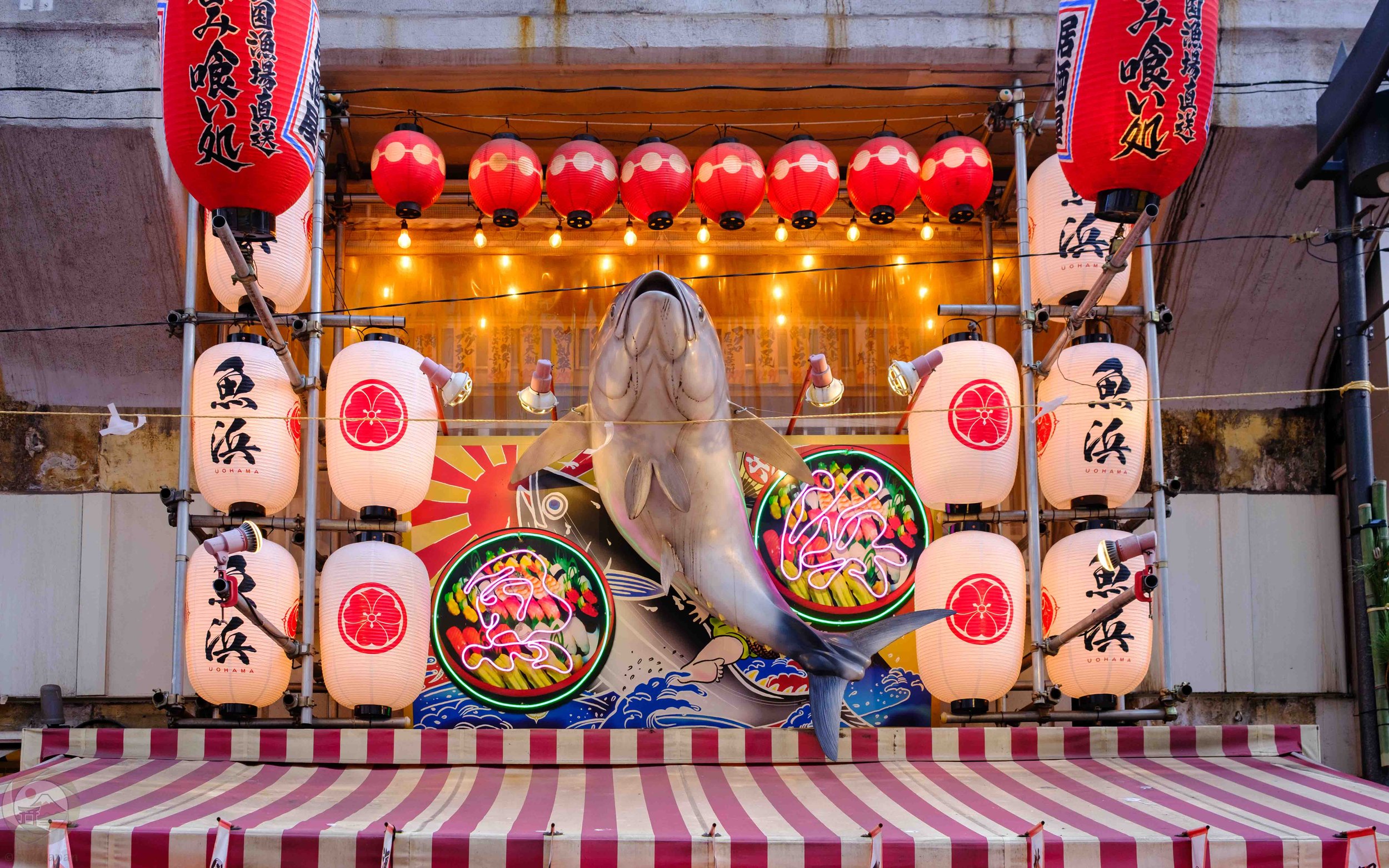 Colorful izakaya storefront in Tokyo with a large tuna replica above a striped awning, framed by rows of red and white chochin paper lanterns.