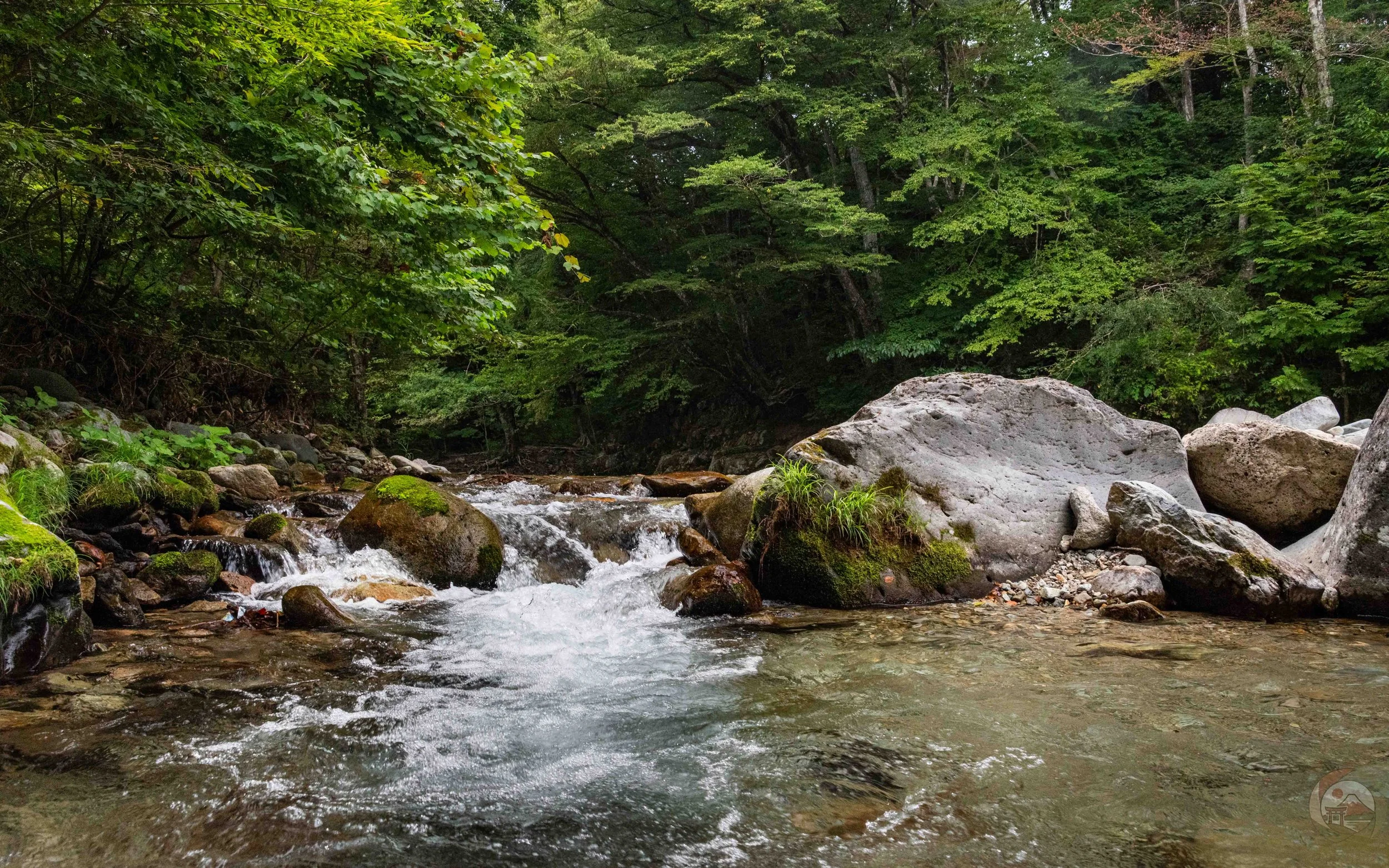 Clear mountain stream in Tochigi, Japan, with water flowing over moss-covered boulders surrounded by forest vegetation.