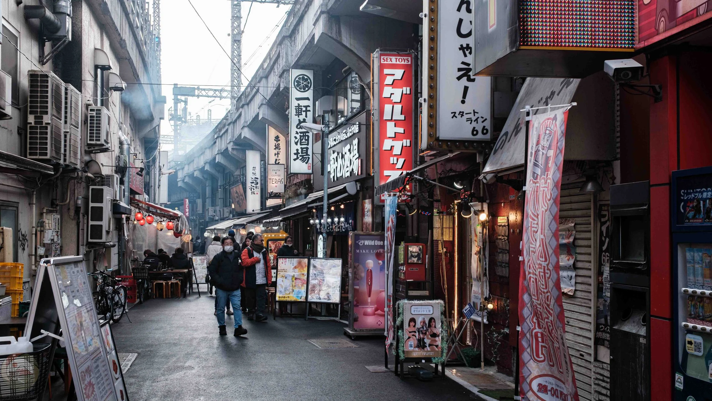 Illuminated storefront signage lines a narrow street beneath elevated railway tracks in Tokyo, Japan, as light smoke drifts from nearby restaurants and pedestrians walk through the alley.