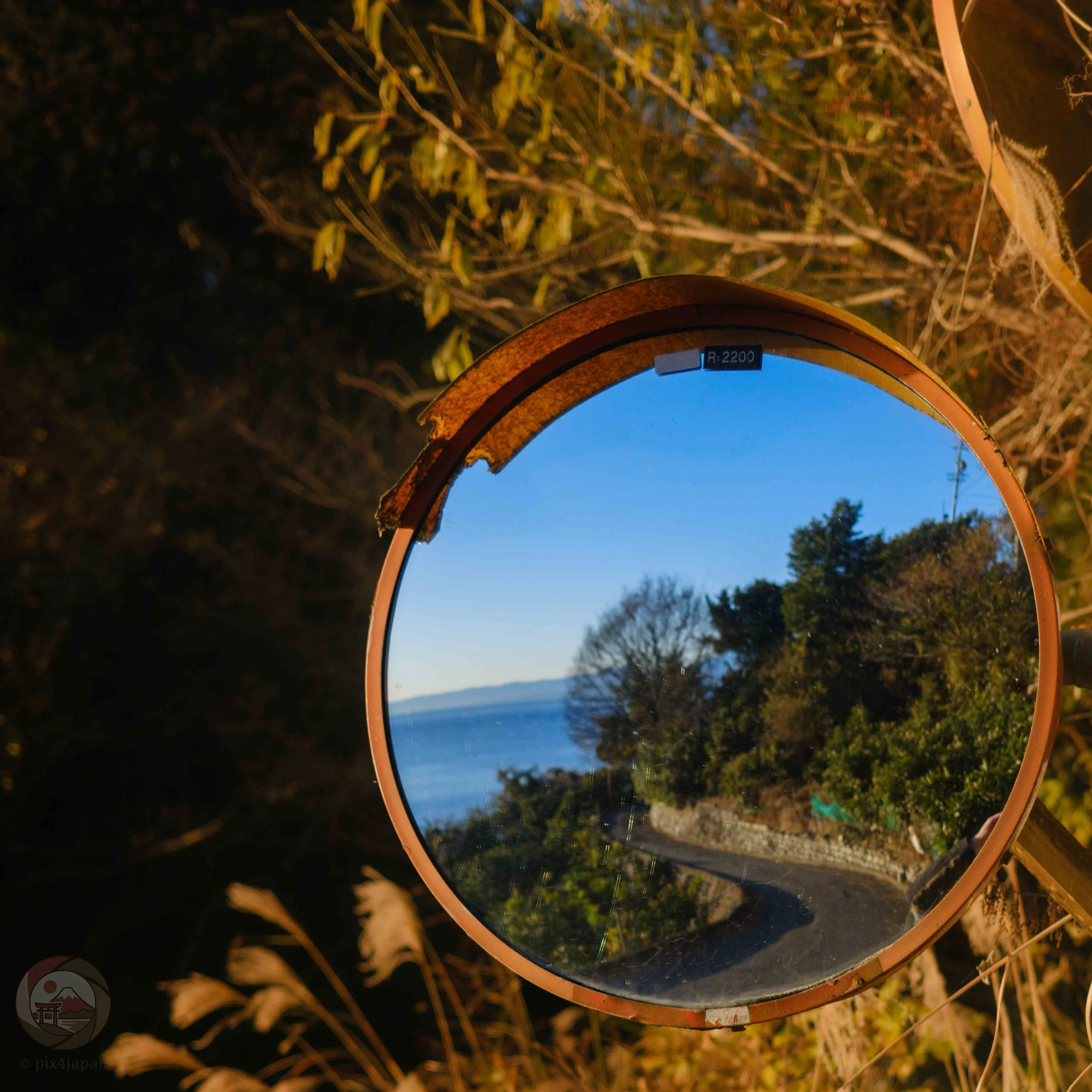 Roadside convex mirror surrounded by foliage in golden sunrise light reflects a winding coastal road with the blue waters of Suruga Bay in the background.