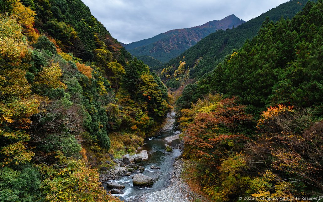 Autumn Ravine