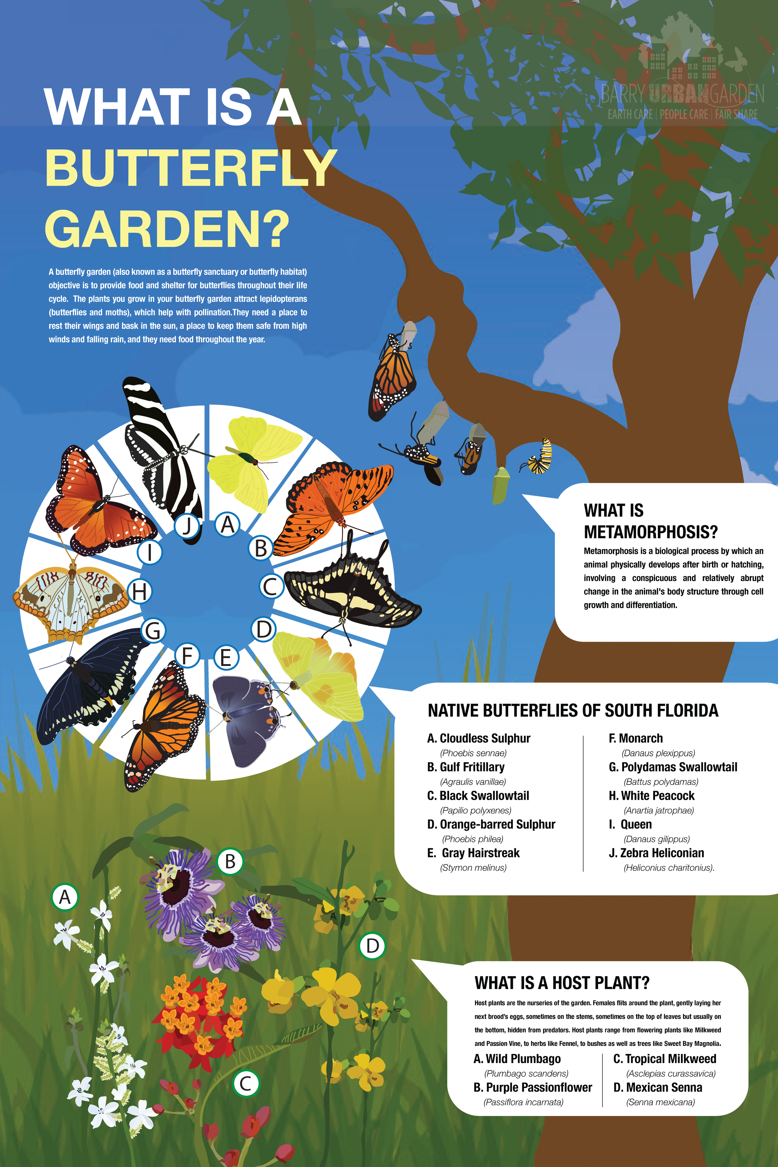 Infographic (BG) copy.png