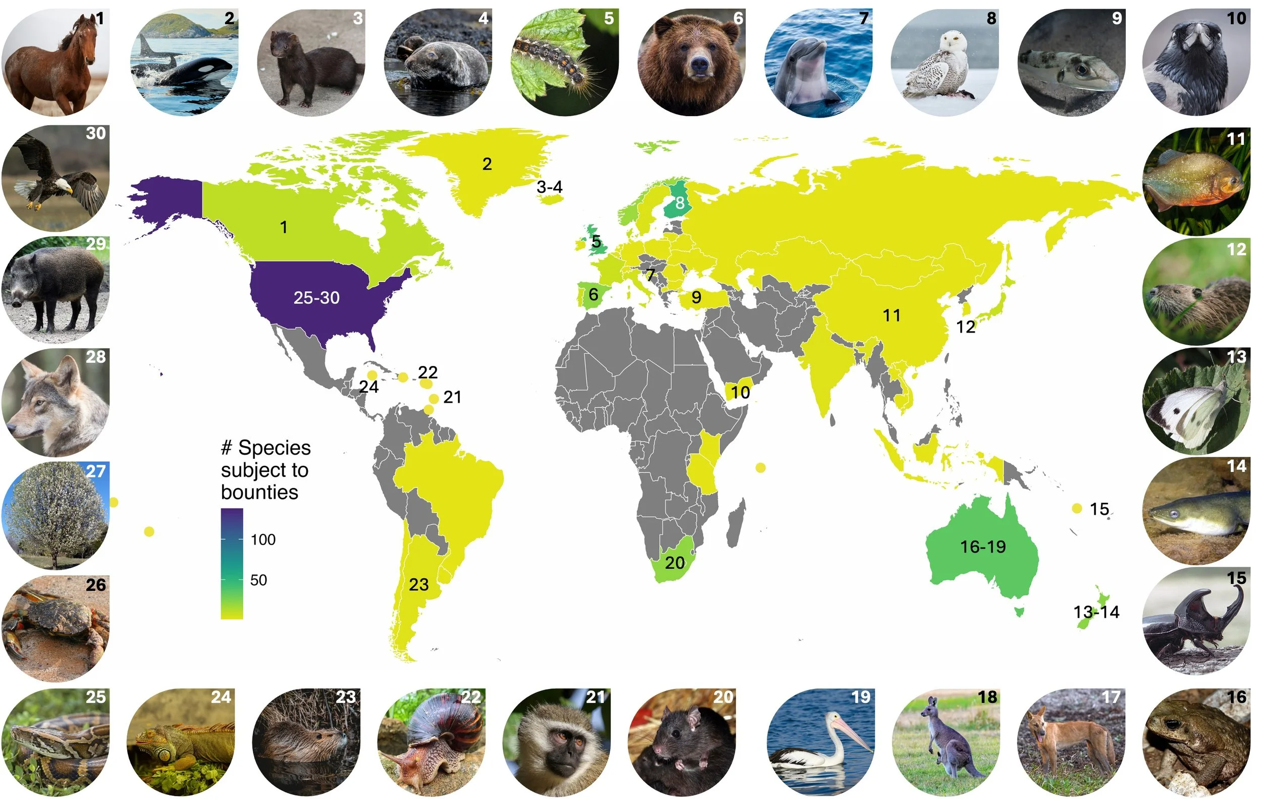 Society’s struggle with unwanted species