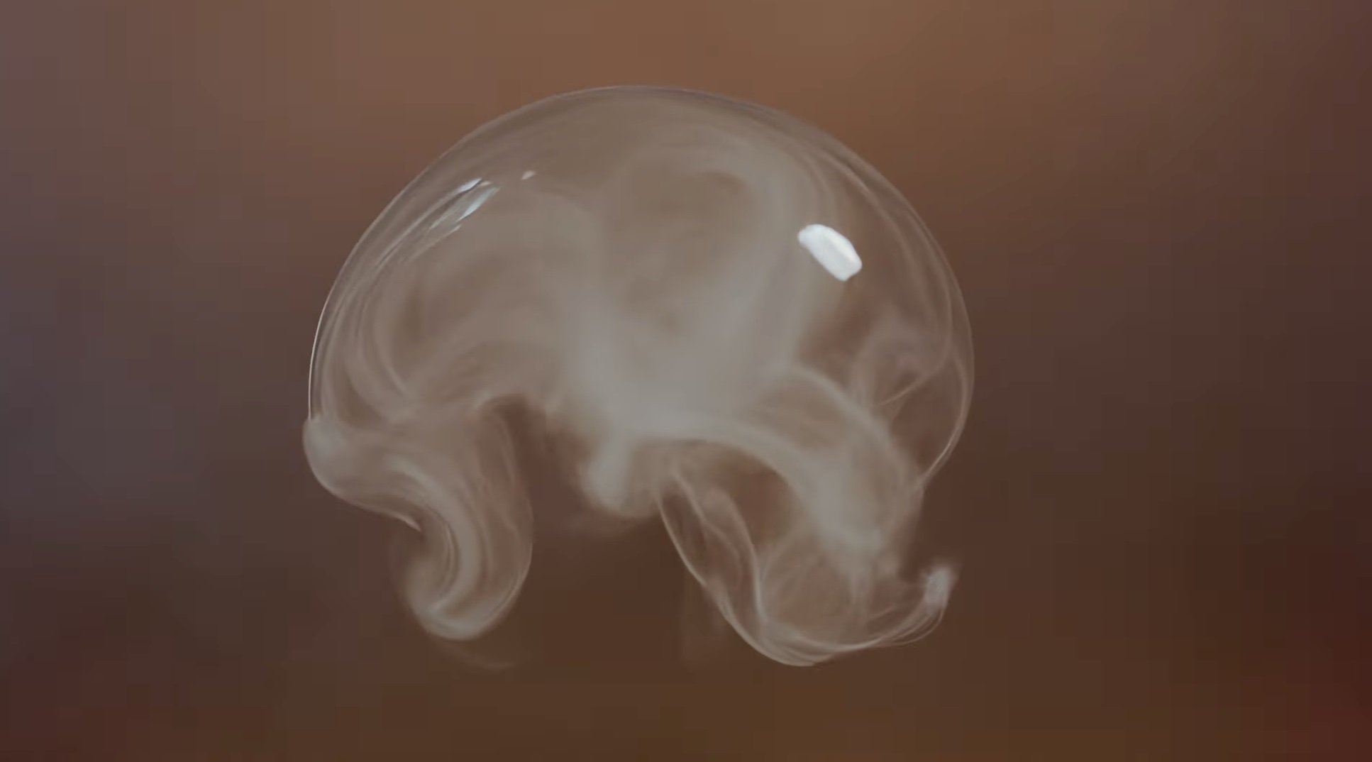 Steam transition.jpg