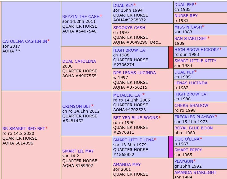 cci x rrsrb pedigree.jpg
